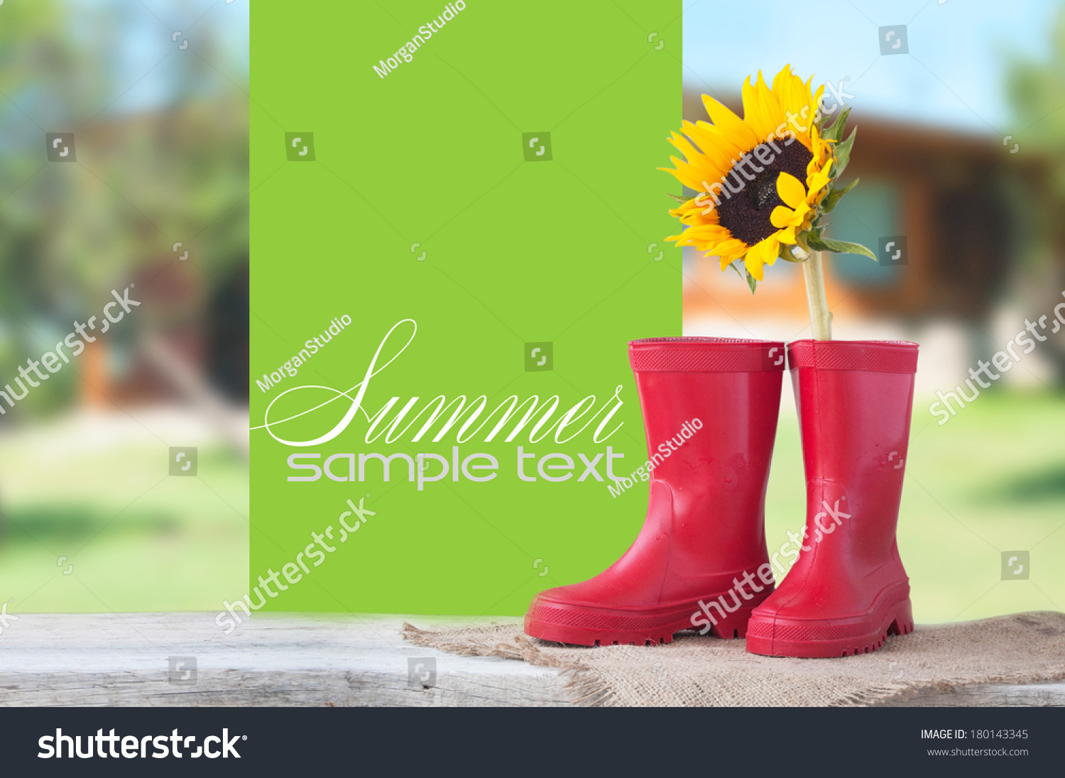 sunflower gumboots