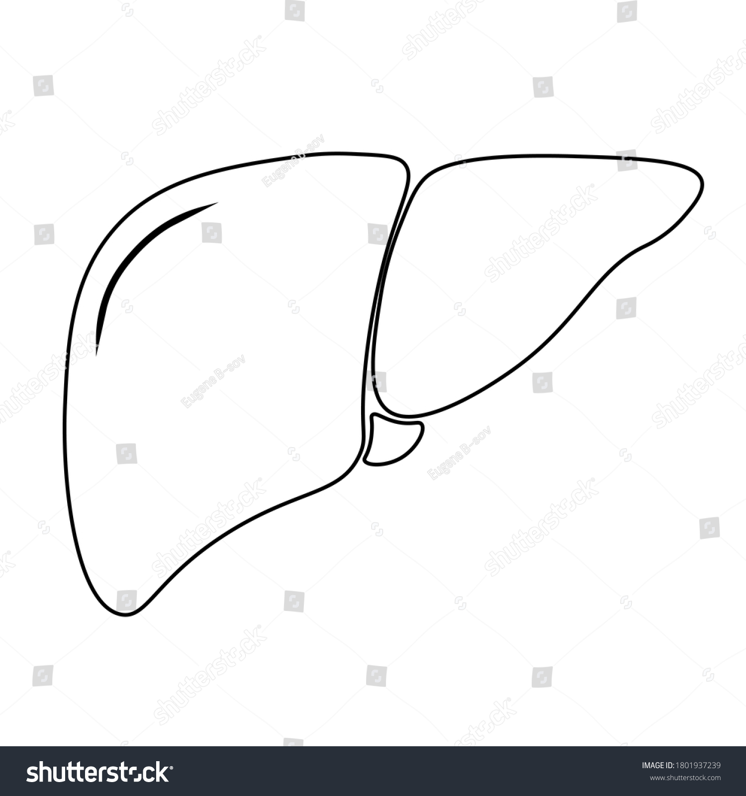 Liver Icon Trendy Flat Style Symbol Stock Vector (Royalty Free ...