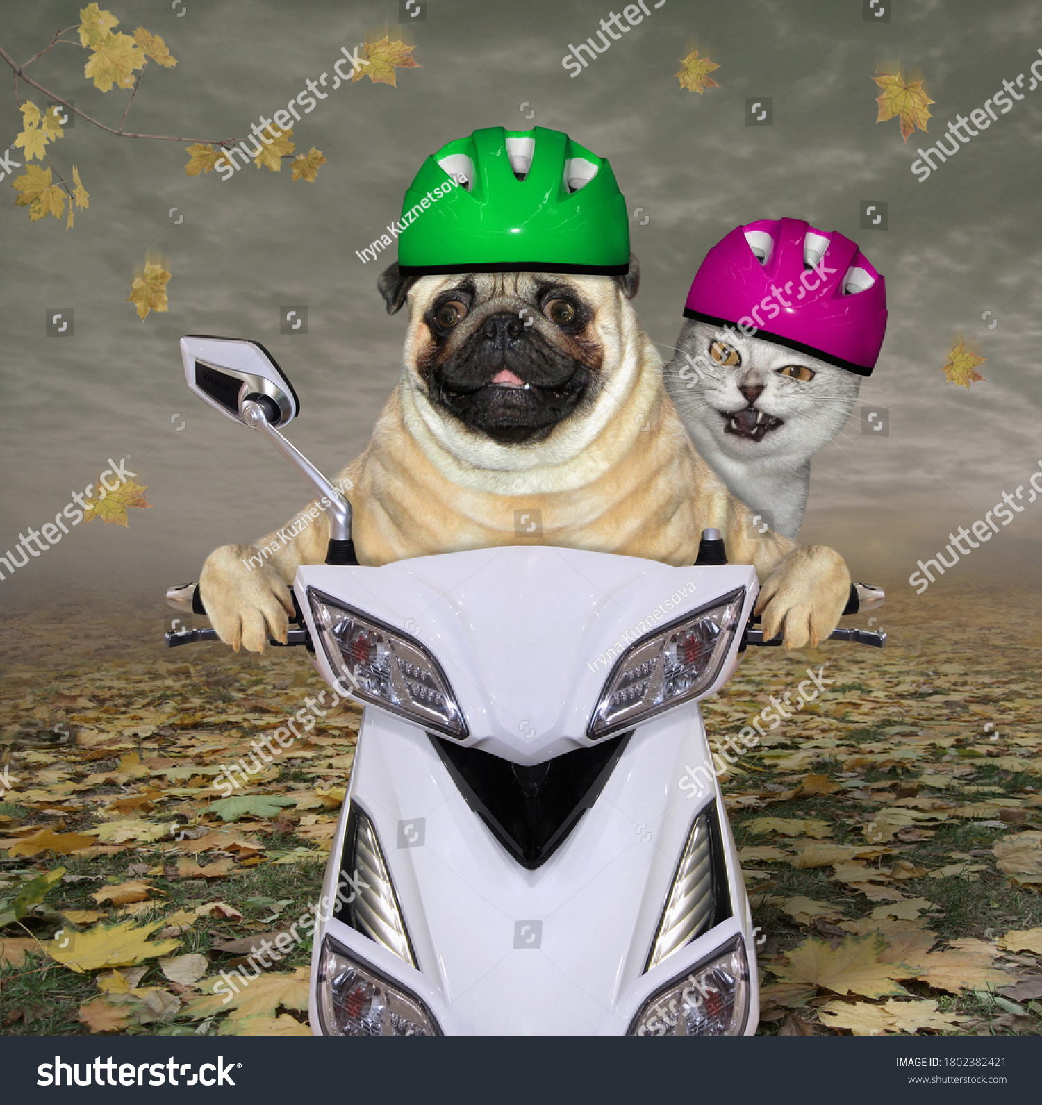 pug motorcycle helmet