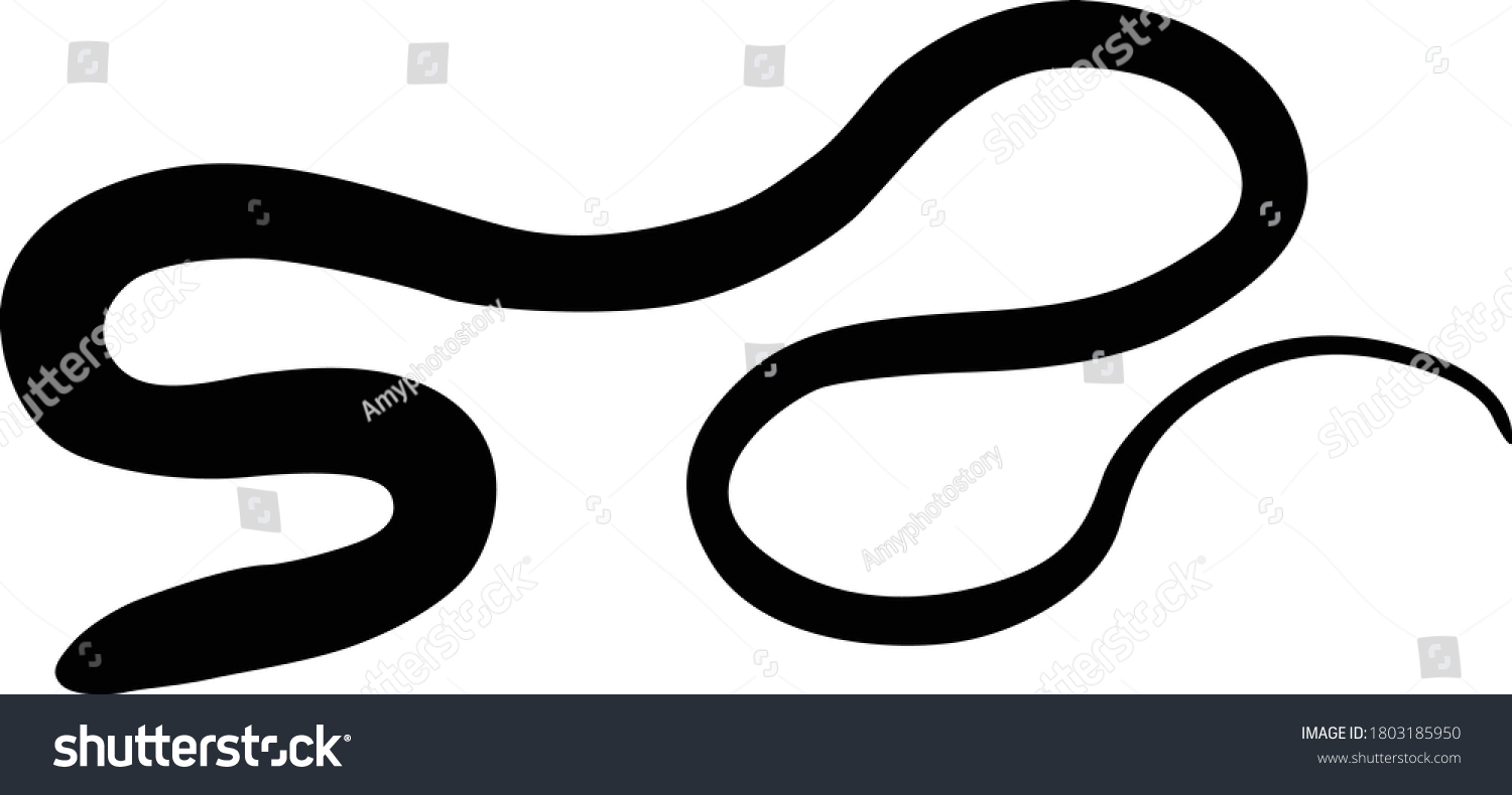 Glass Lizard Ophisaurus Silhouette Found Map Stock Vector (Royalty Free ...