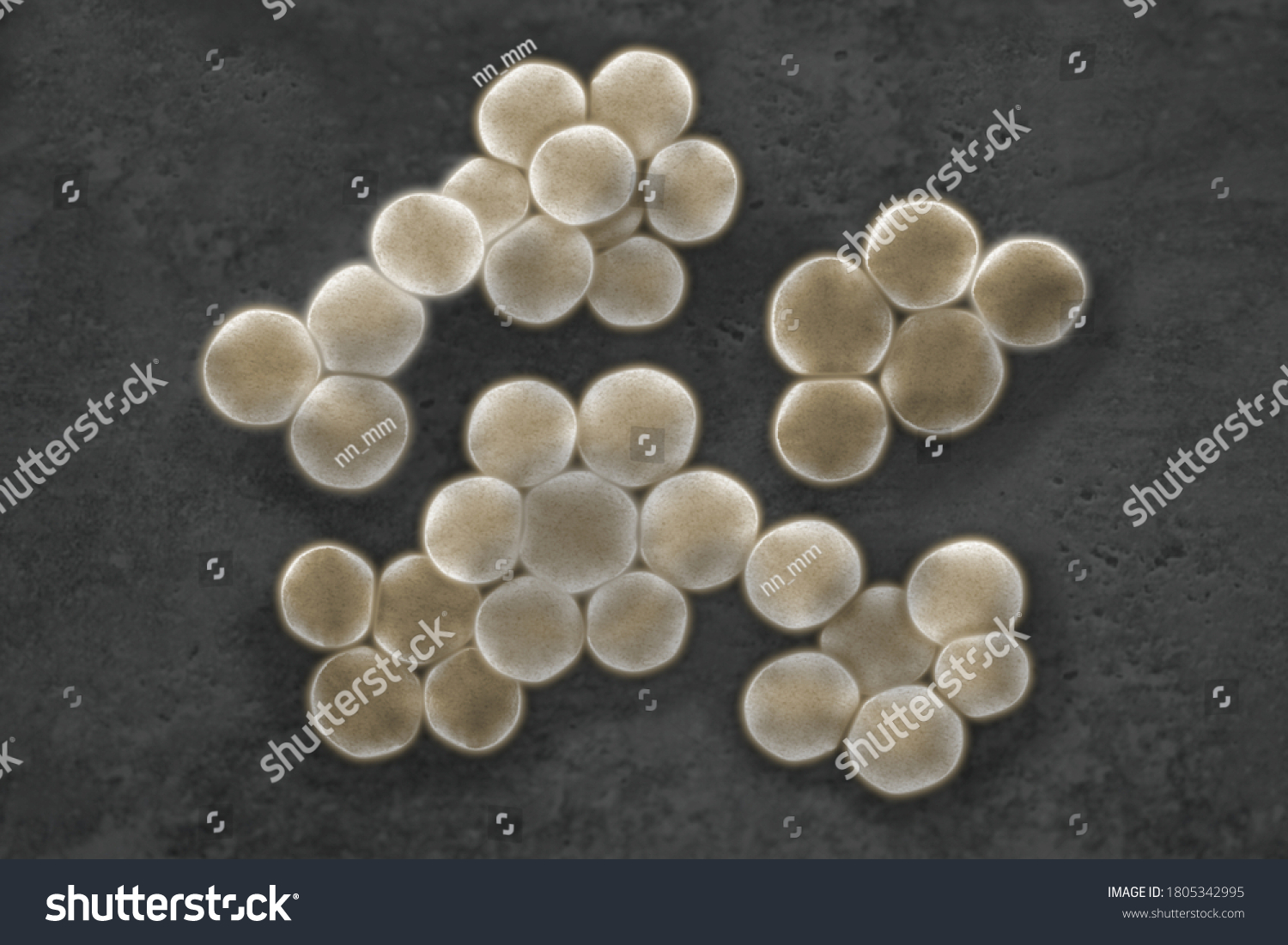 Image Staphylococcus Seen Through Microscope Cg Stock Photo 1805342995 ...