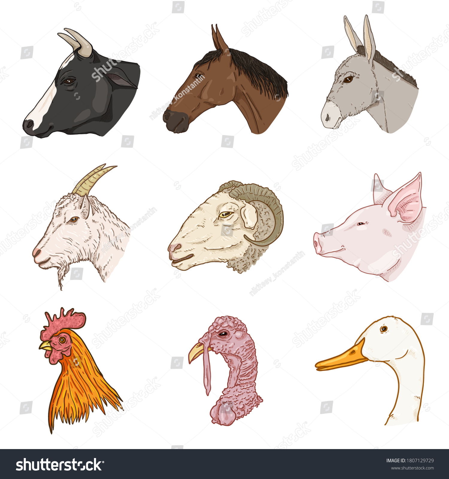 Vector Set Cartoon Farm Animals Heads Stock Vector (Royalty Free ...