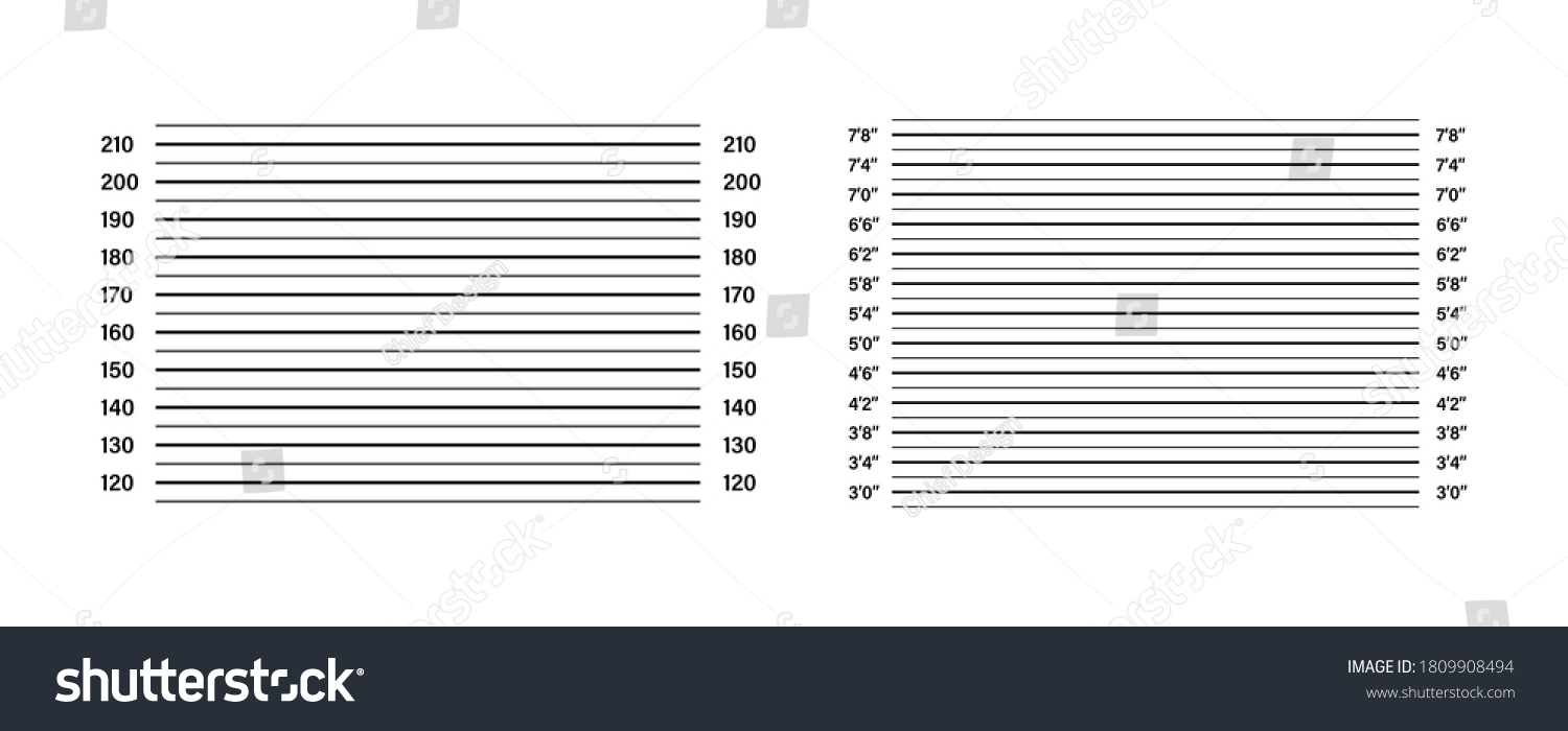 Mug Boards Line Template Vector Isolated Stock Vector (Royalty Free ...