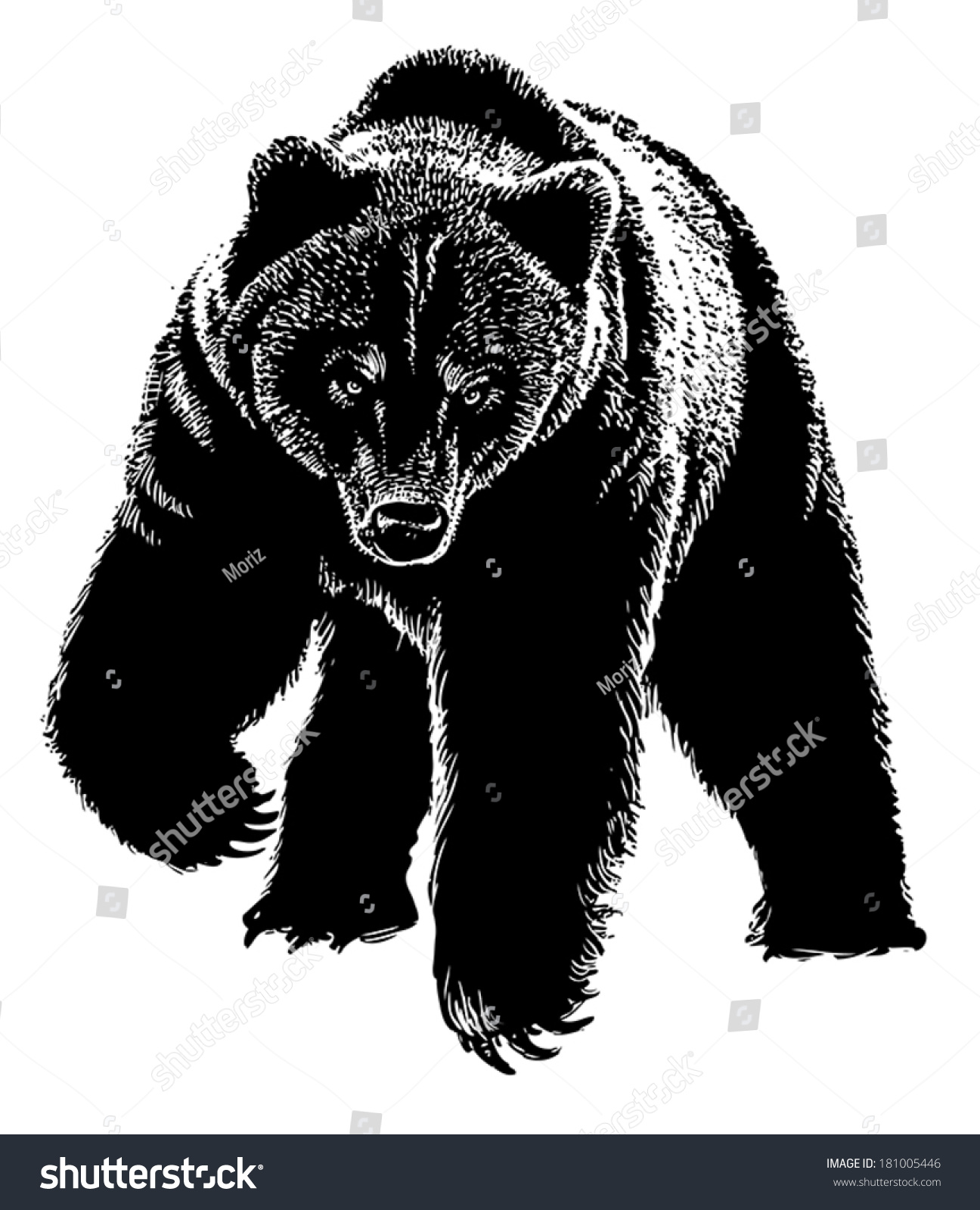 Картинки тотемного медведя