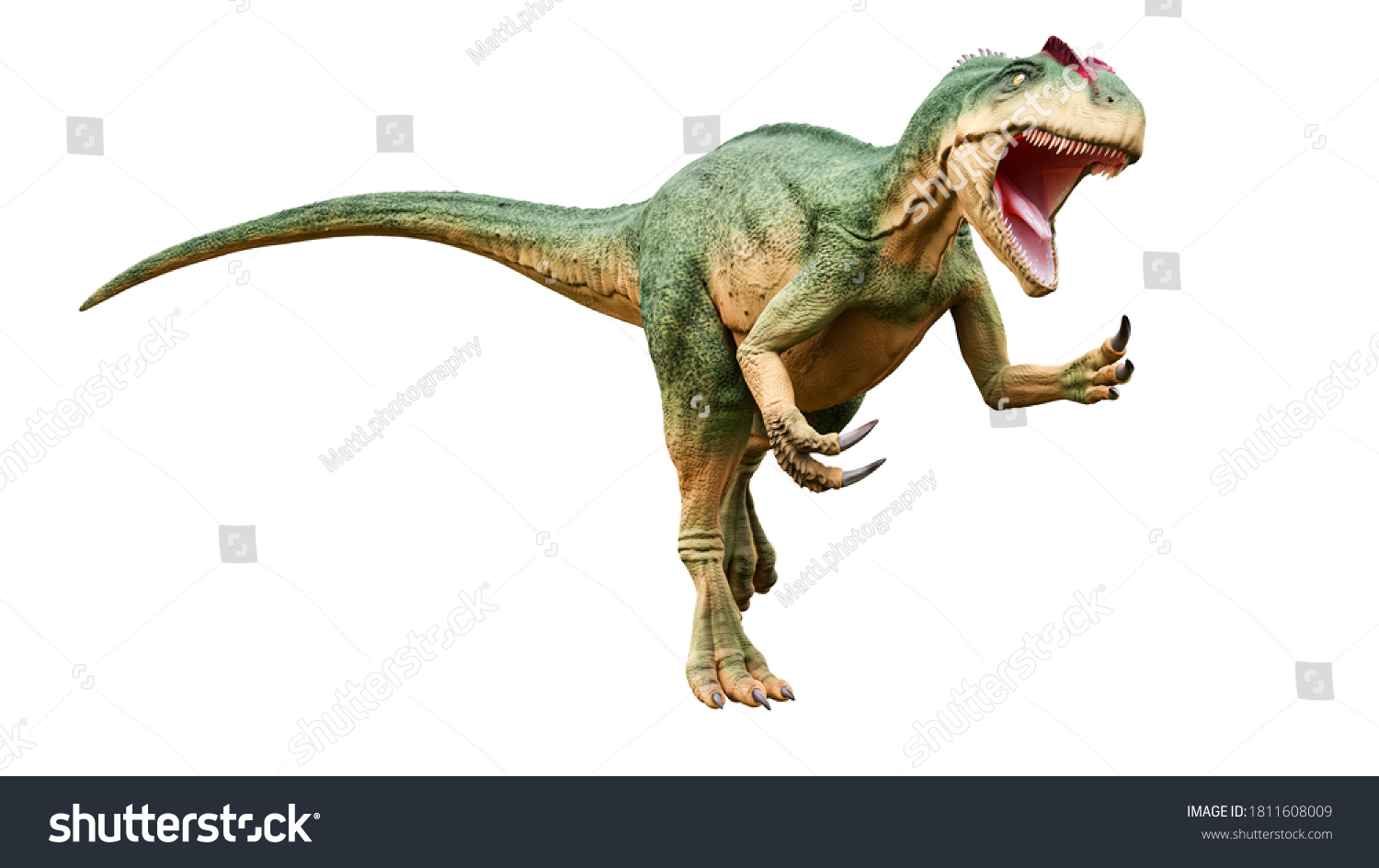 allosaurus attack