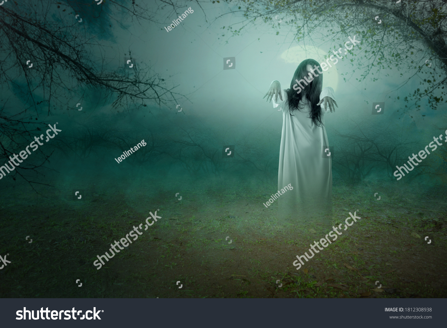 Scary Ghost Woman Standing Night Scene Stock Photo 1812308938 ...