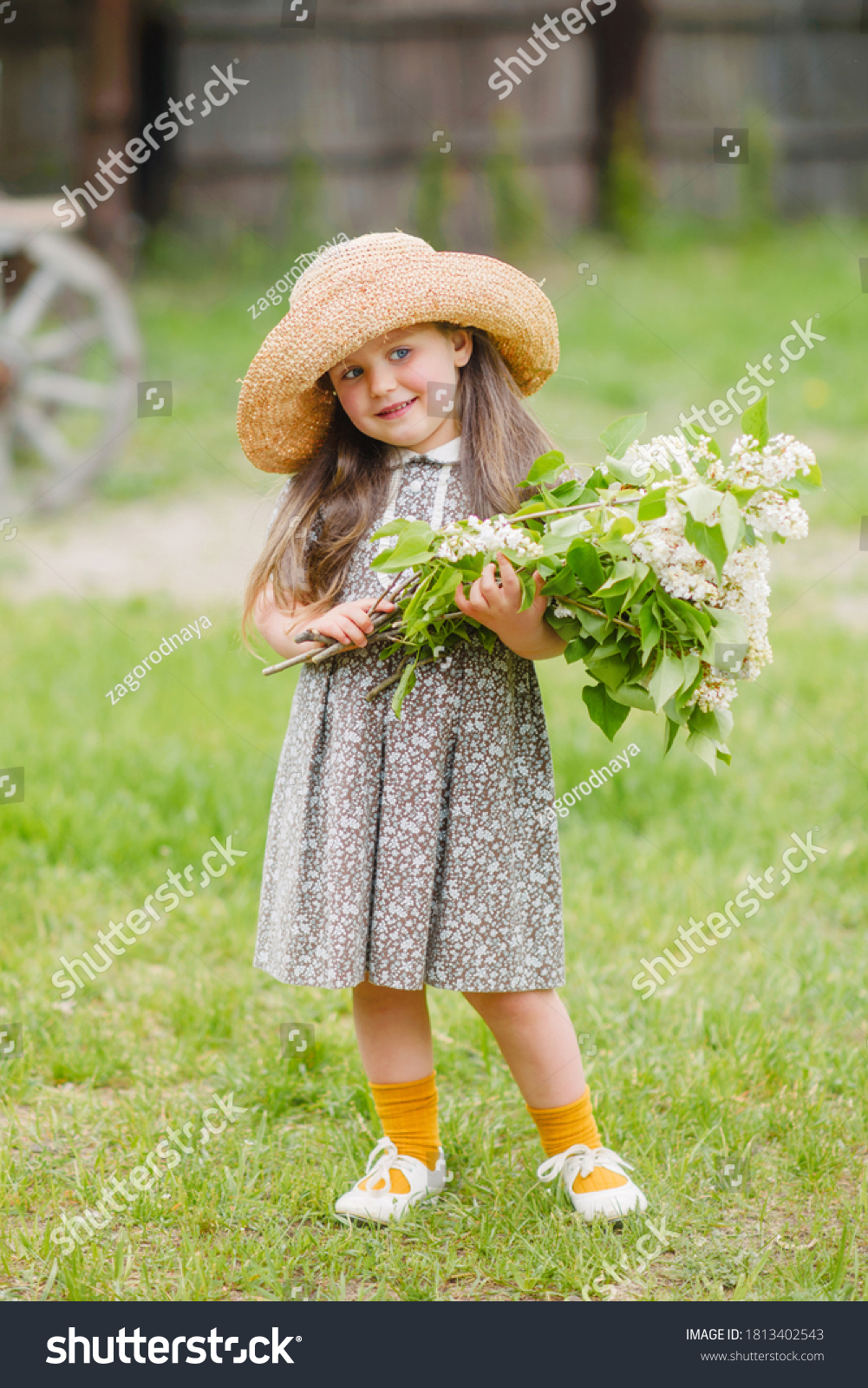 Portrait Little Girl Outdoors Summer Stock Photo 1813402543 | Shutterstock