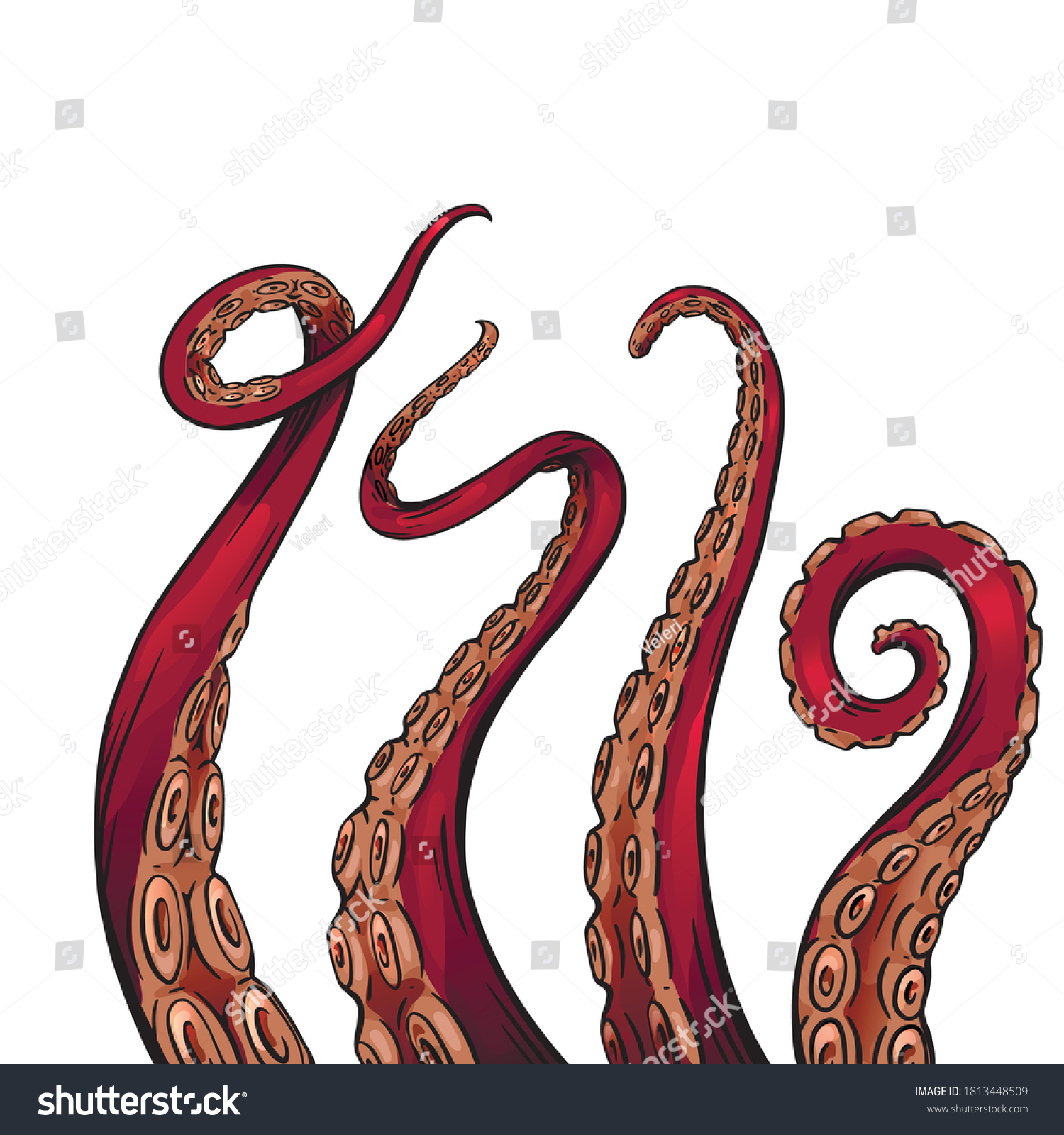 Set Color Cartoon Sketches Octopus Tentacles Stock Vector (Royalty Free ...