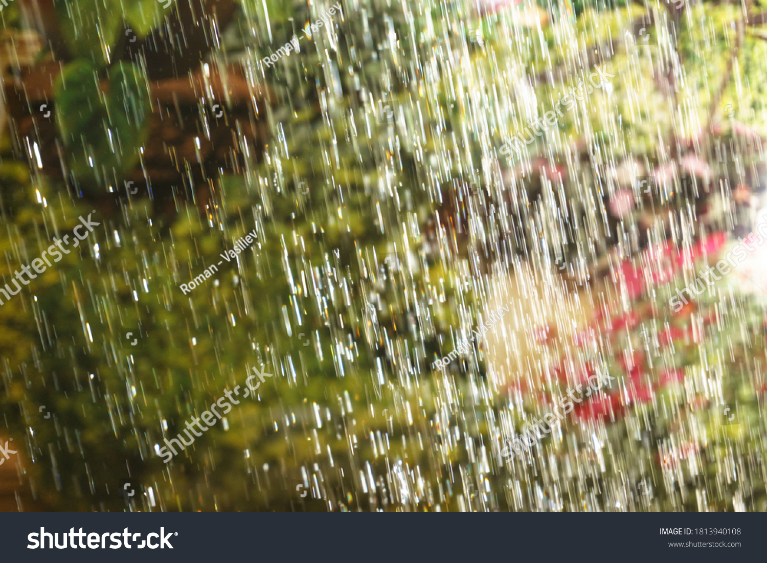 Drops Slanting Rain On Background Greenery Stock Photo 1813940108 ...