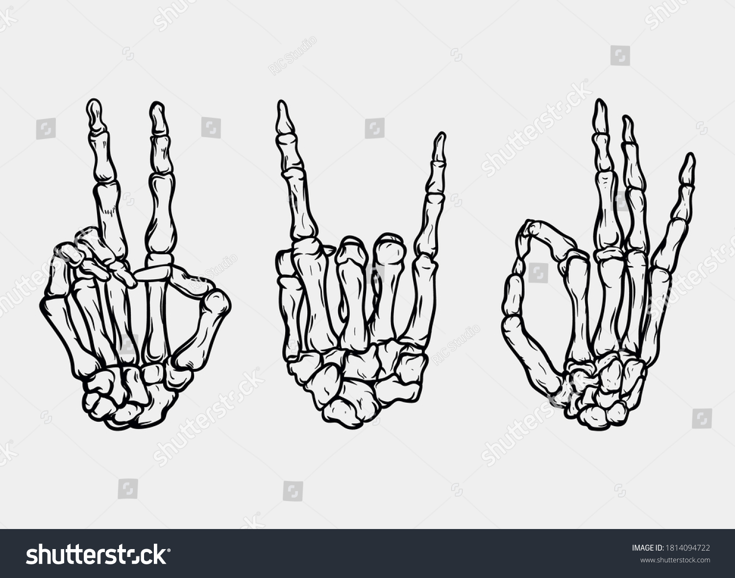 Hand Bone Set Vector Illustration Stock Vector (Royalty Free ...