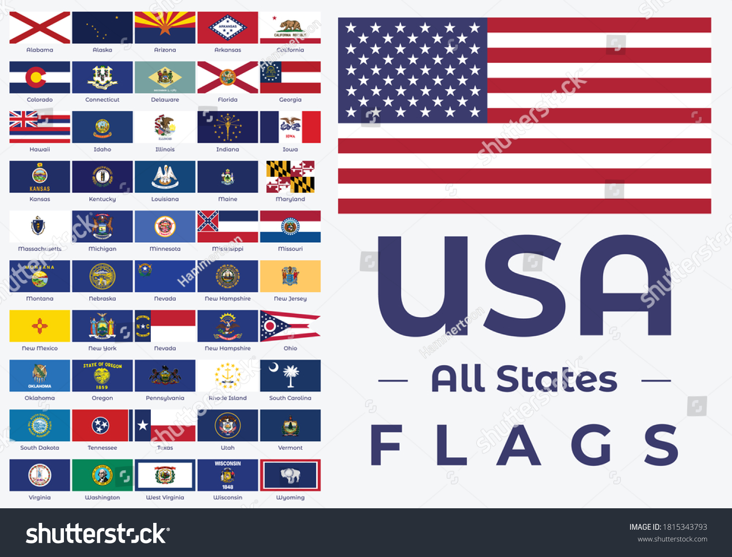 All United States America Flags All Stock Vector (Royalty Free ...