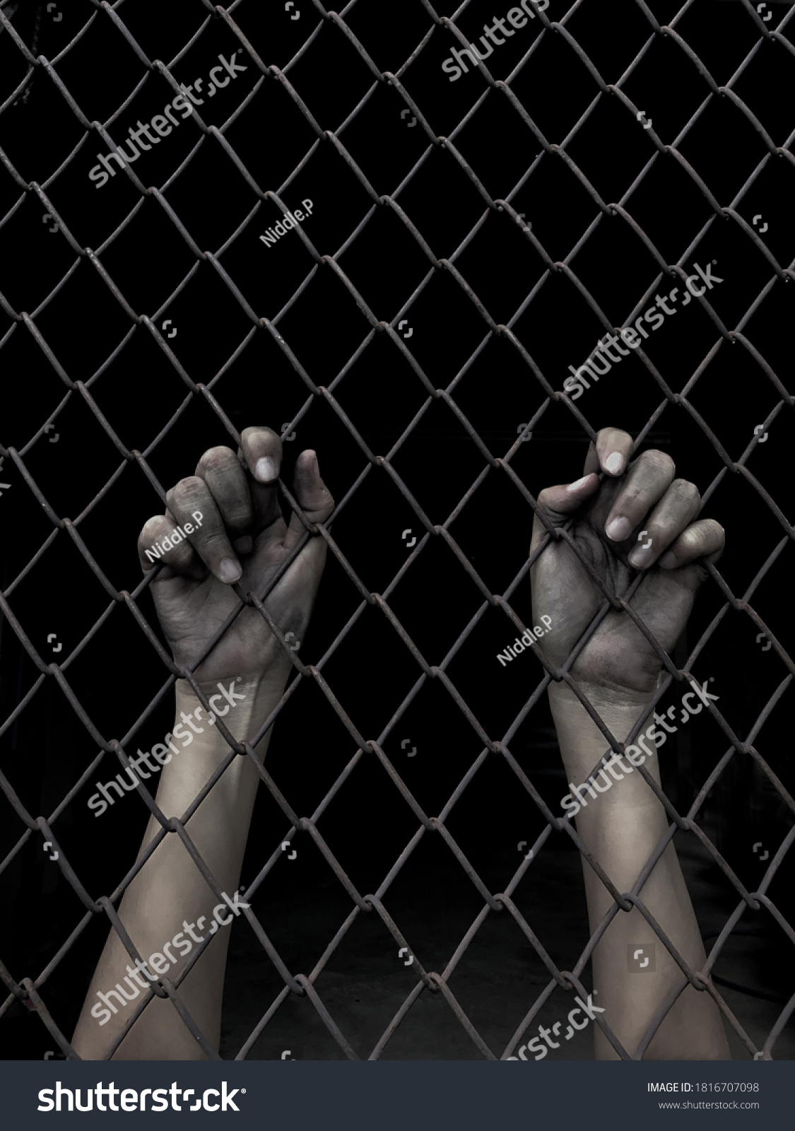 Hands Female Prisoner Jail Cage Stock Photo Shutterstock