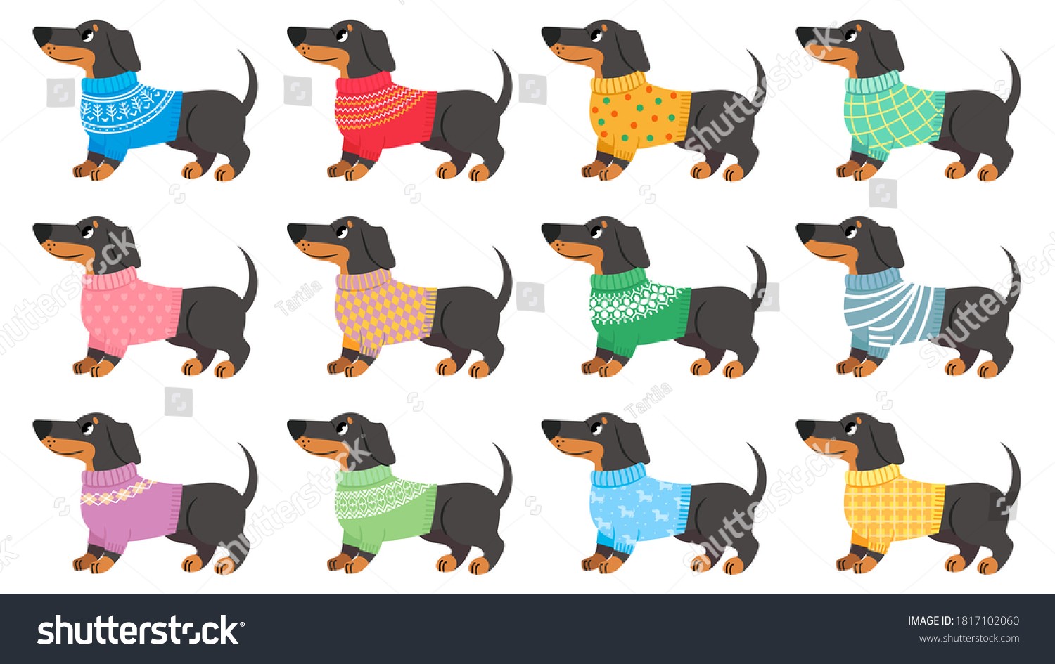 cute dachshund clothes