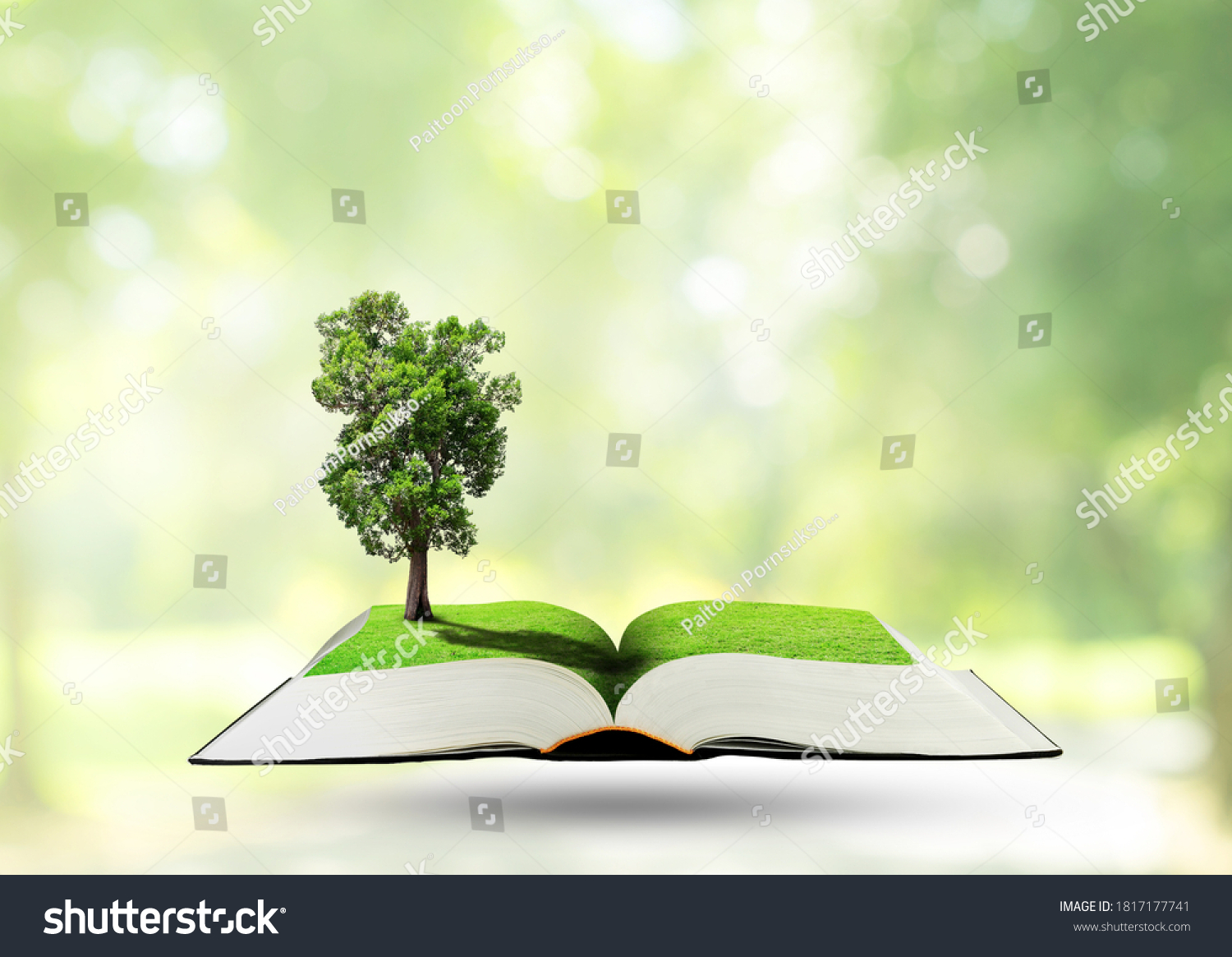 Green Ecology Concept Green Tree Growth Stock Photo 1817177741 ...