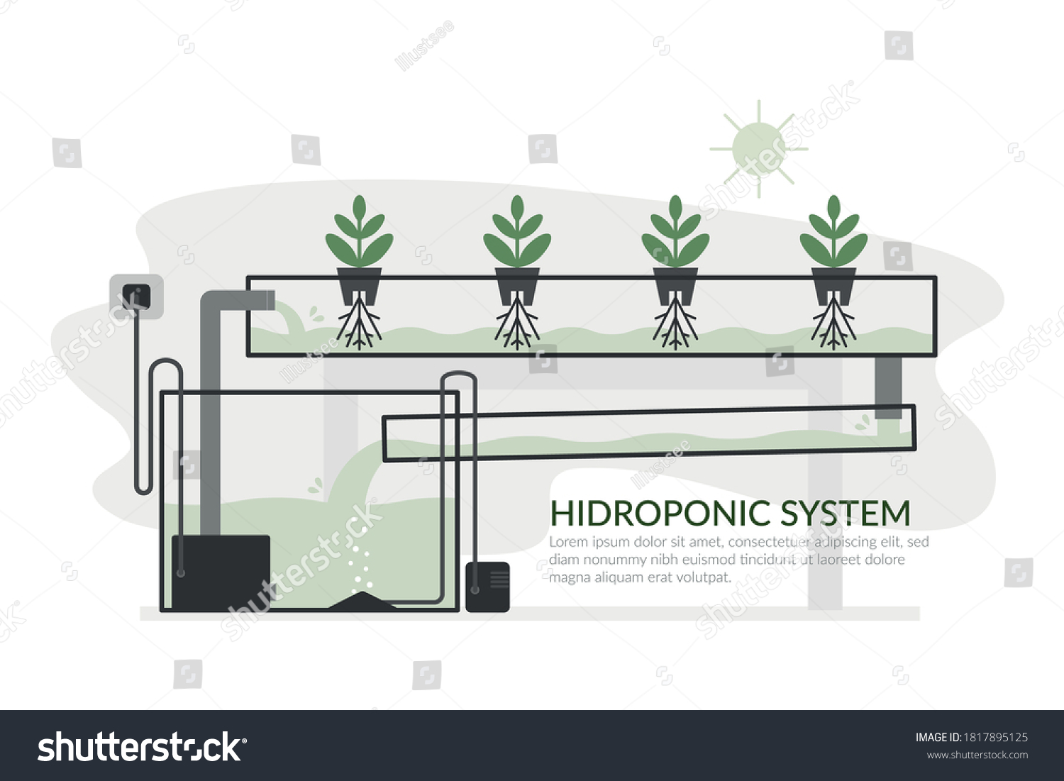 Nutrient Film Technique Ntf Hydroponic System Stock Vector (Royalty ...