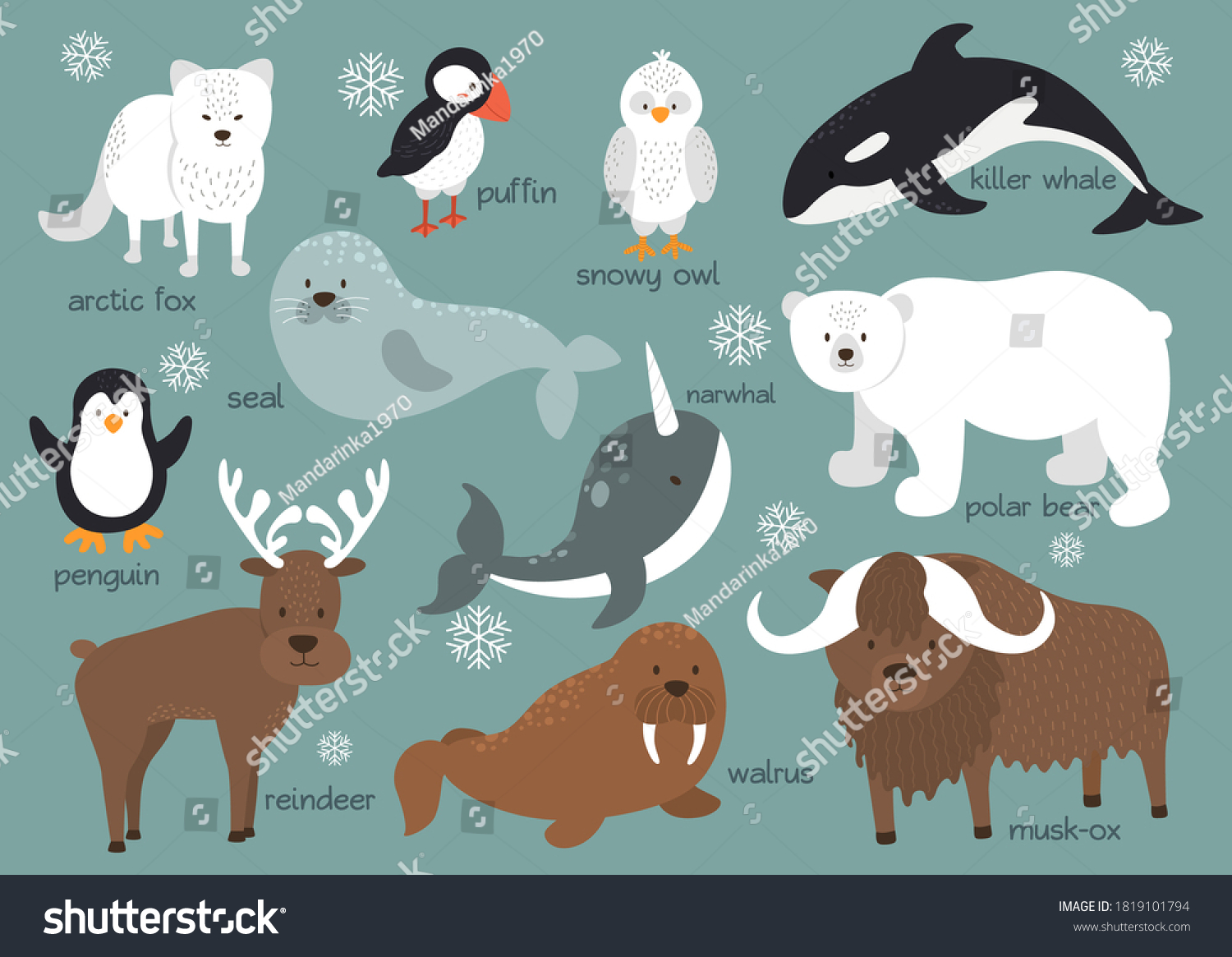 Arctic Animals Background Set Arctic Animals Stock Vector (Royalty Free ...