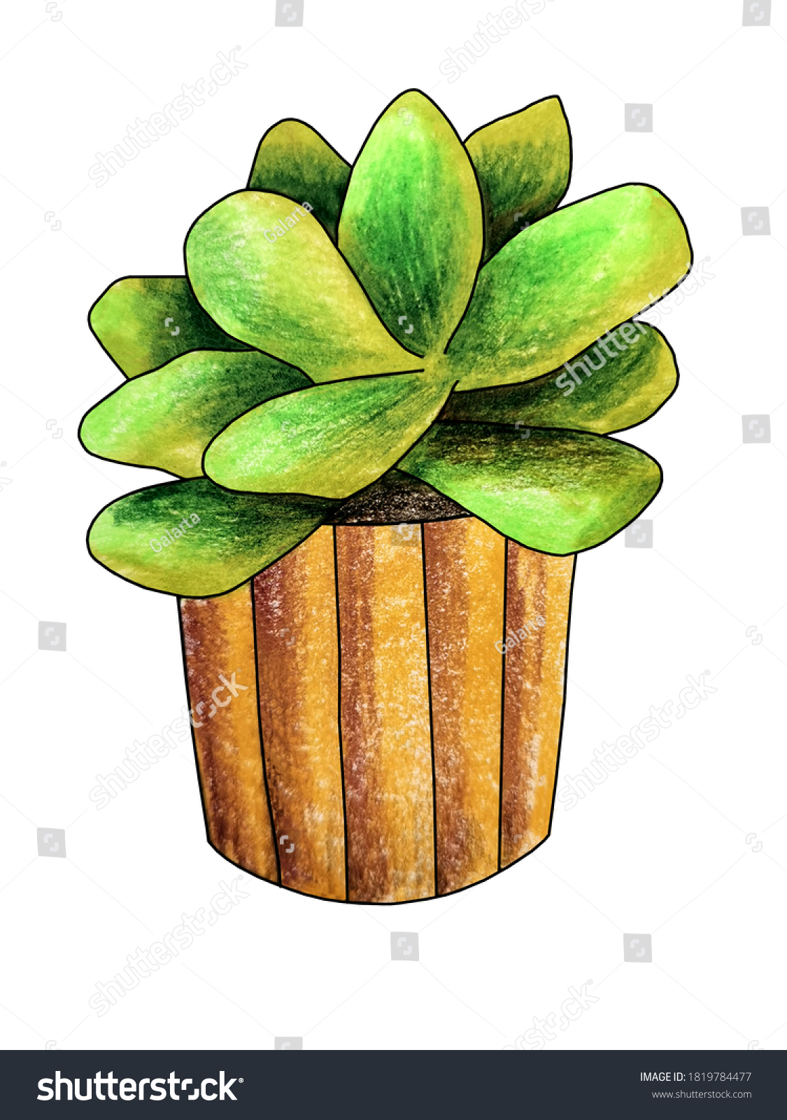 Cactus Pot Drawing Handcolored Pencils Sketch Stock Illustration ...