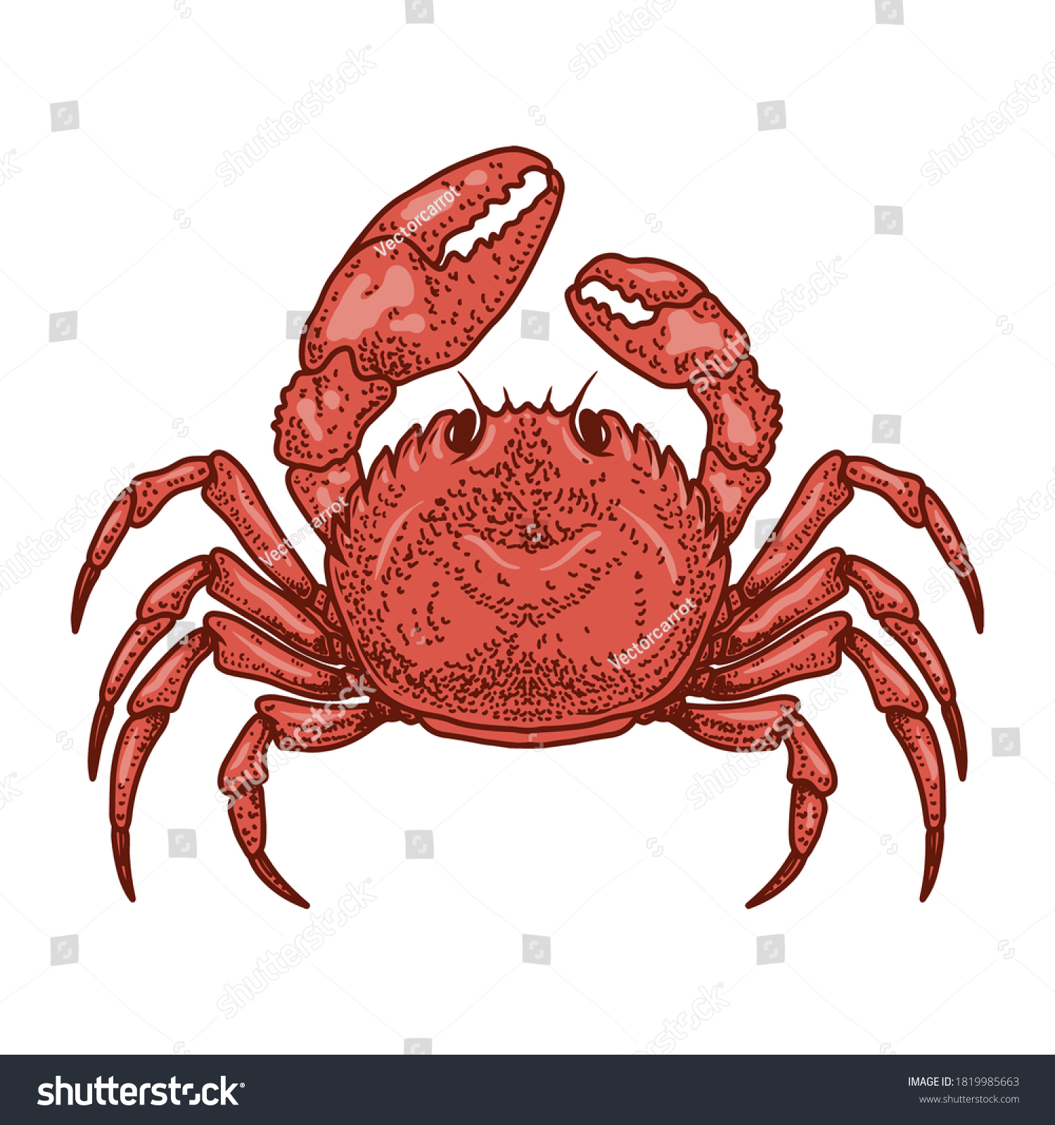 Illustration Crab Engraving Style Design Element Stock Vector (Royalty ...