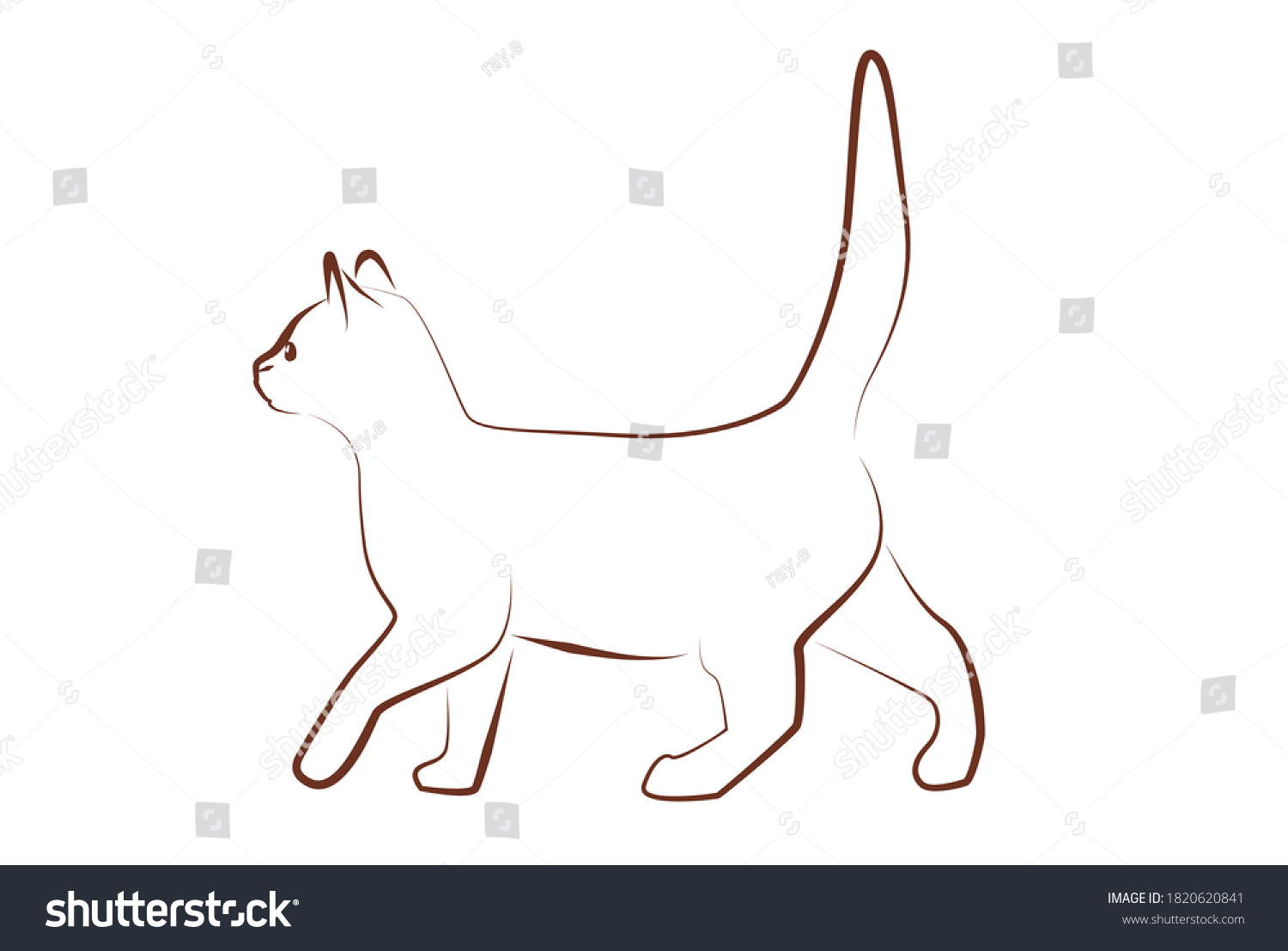 Line Drawing Cat Walking Tail Upright Stock Vector (Royalty Free ...