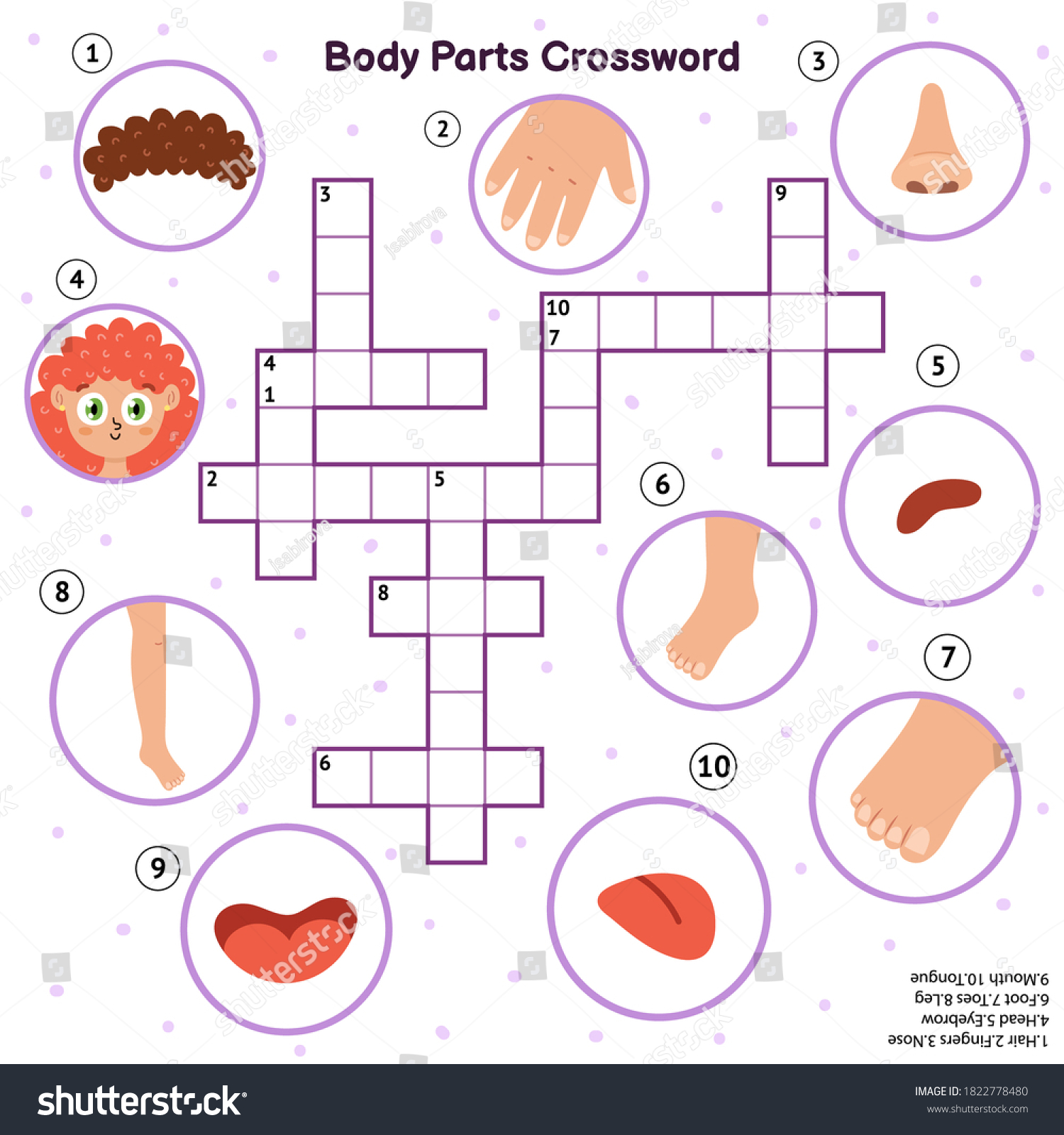Vektor Stok Body Parts Crossword Head Hair Fingers (Tanpa Royalti) 1822778480 Shutterstock