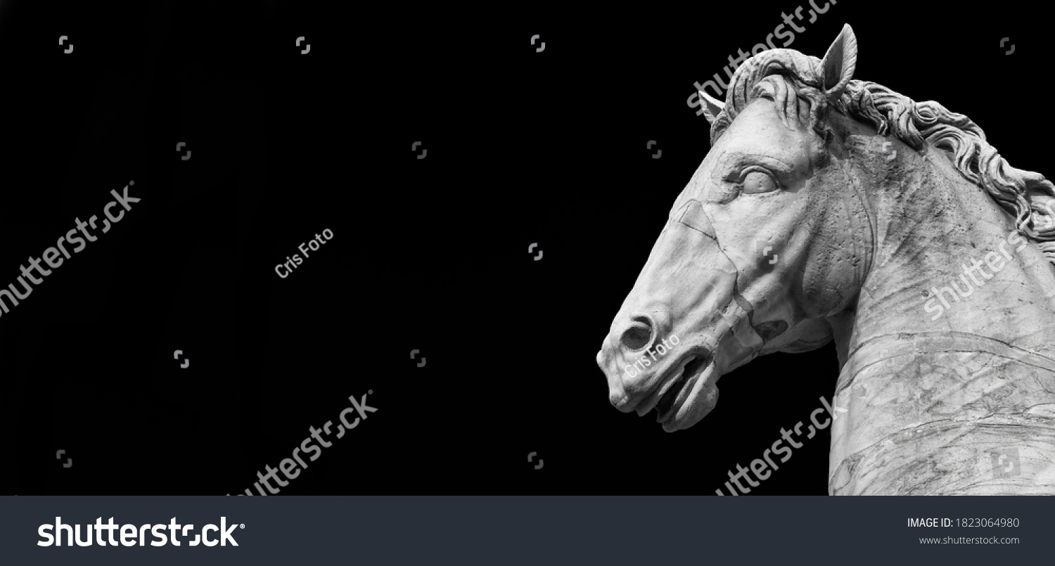 Stock Photo Ancient Roman Marble Statue Of An Horse At The Top Of Capitoline Hill In Rome Dated Back To The 1823064980 
