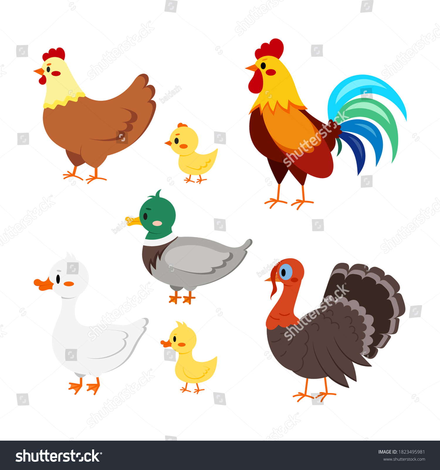 Farm Birds Set Isolated On White Stock Vector (Royalty Free) 1823495981 ...