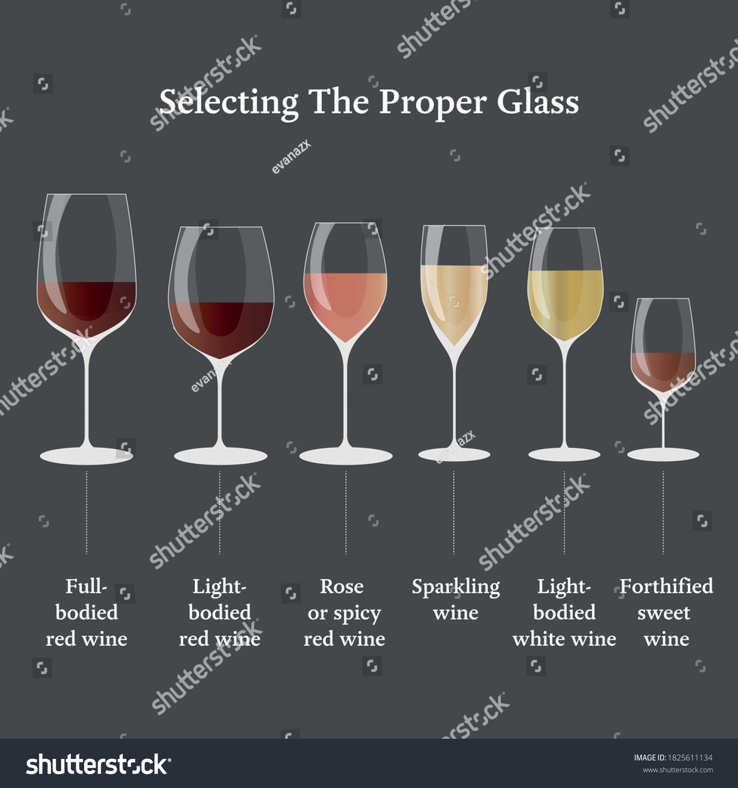 Collection Wine Glass Proper Glass Stock Vector (Royalty Free ...