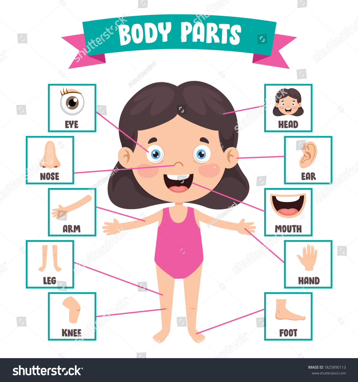 Funny Child Showing Human Body Parts Stock Vector (Royalty Free ...