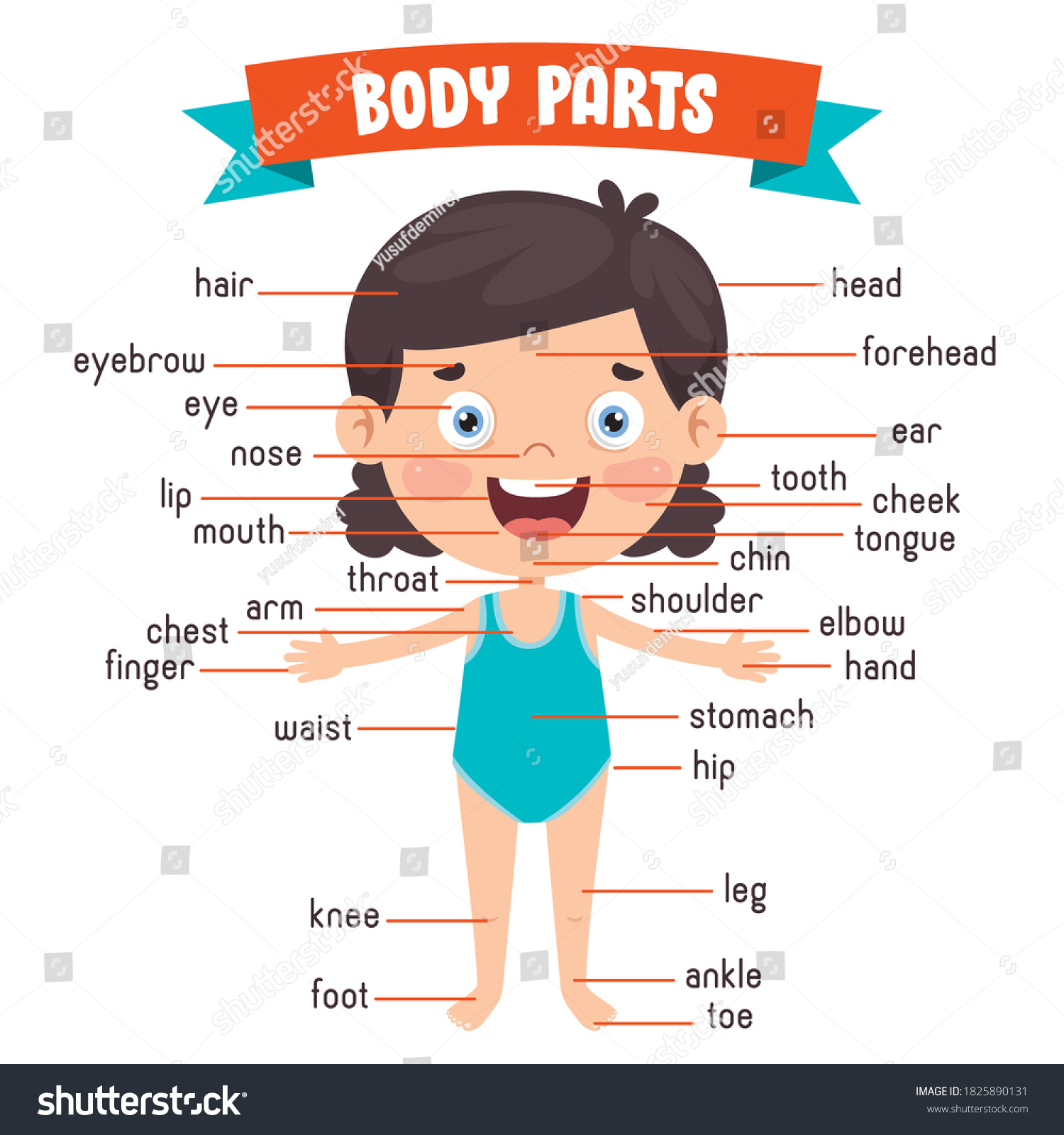 Funny Child Showing Human Body Parts Stock Vector (Royalty Free ...