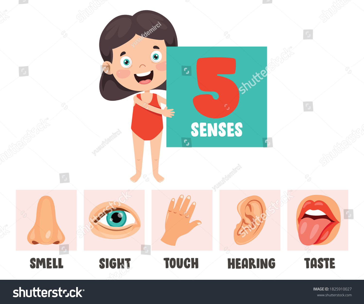 Five Senses Concept Human Organs Stock Vector Royalty Free 1825910027 Shutterstock 