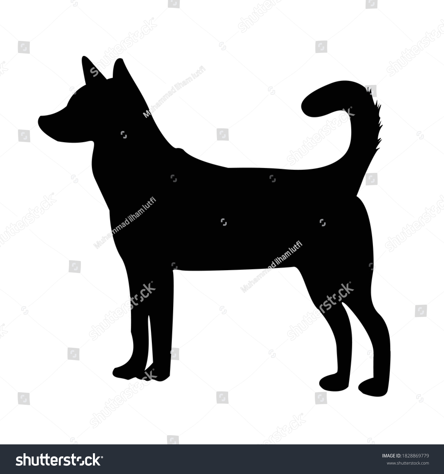 Canaan Dog Silhouette Vector Illustration Stock Vector (Royalty Free ...