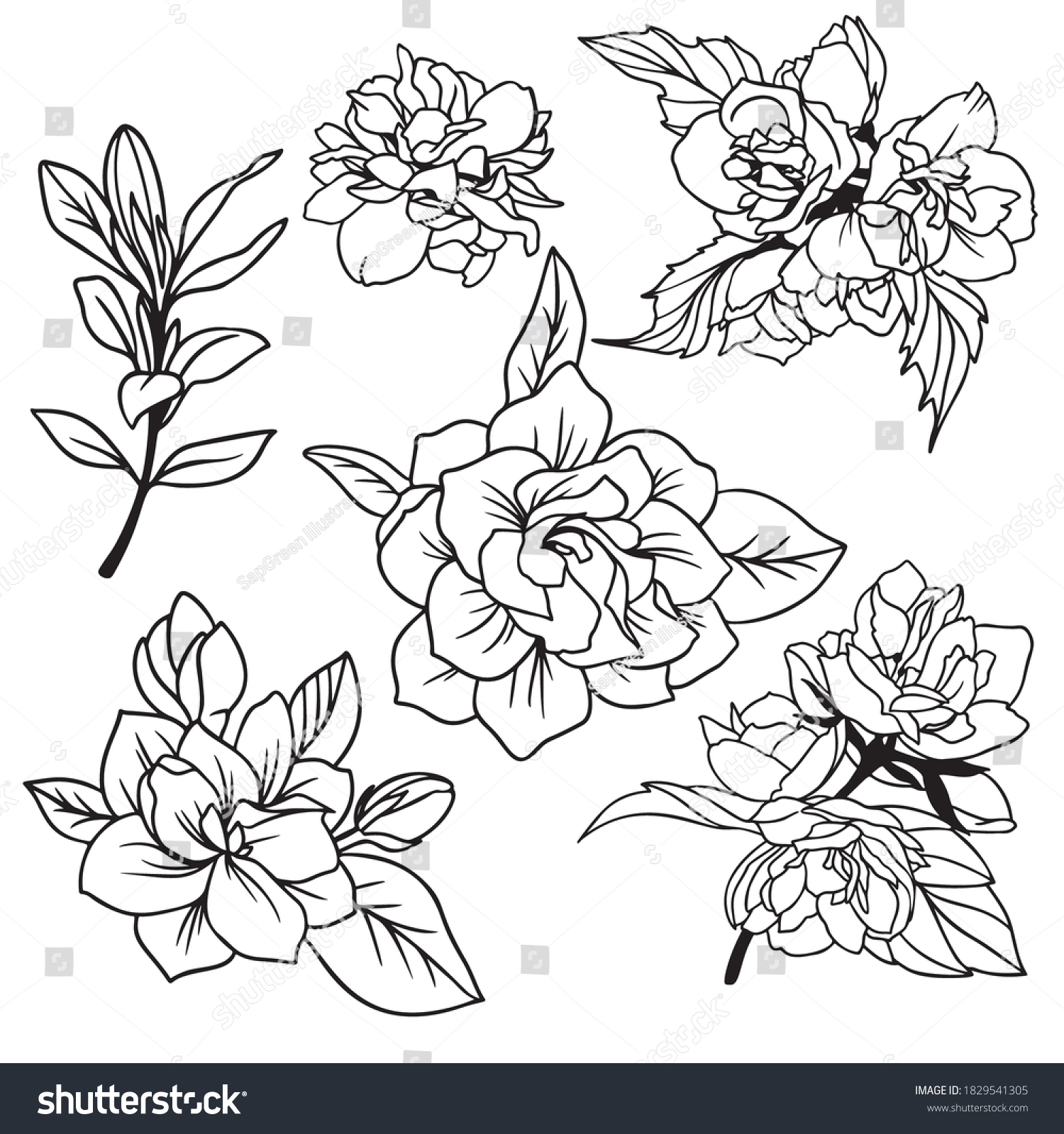 Lush Spring Flowers Leaves Gardenia Jasmine Stock Vector (Royalty Free ...