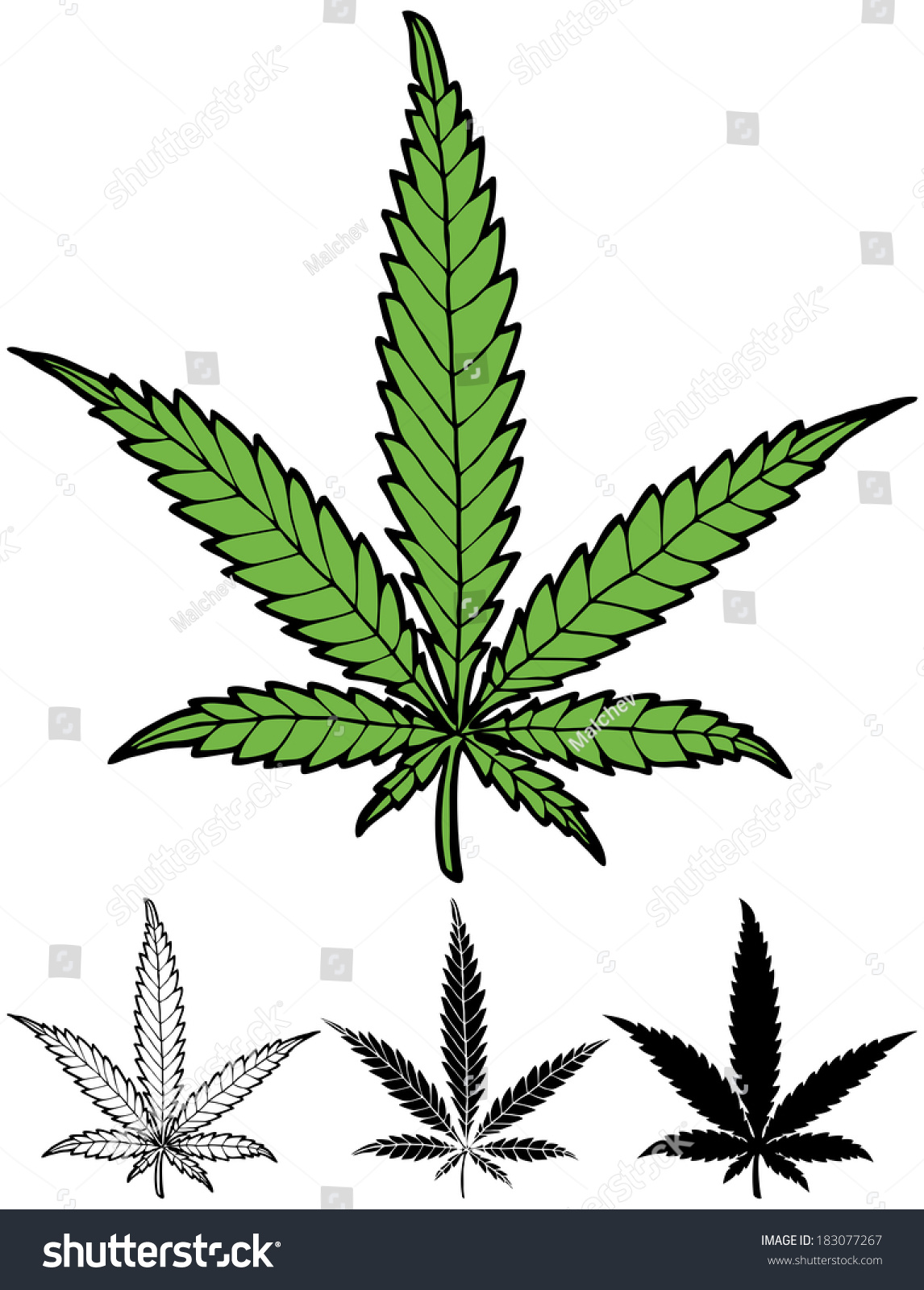 Hemp Leaf Hand Drawn Hemp Leaf Stock Vector (royalty Free) 183077267 