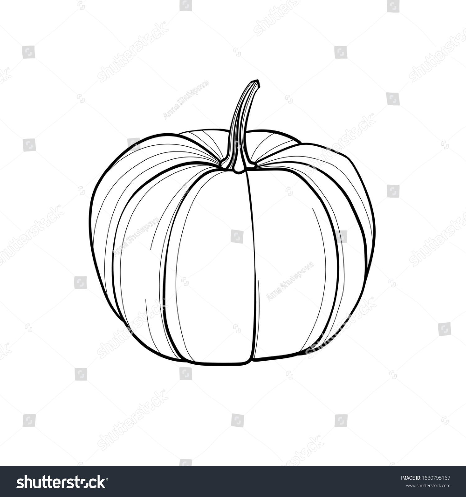 Pumpkin Line Drawing Black White Illustration Stock Vector (Royalty ...