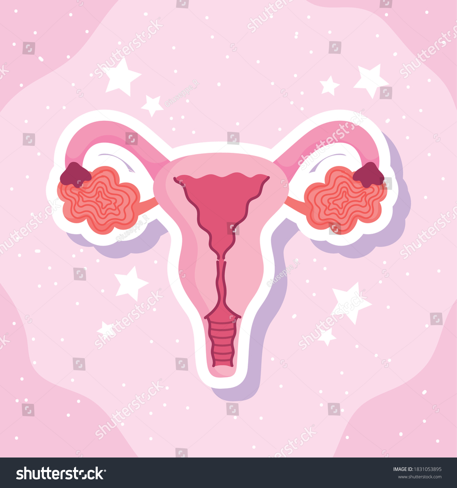 Female Human Reproductive System Biology Scheme Stock Vector Royalty Free 1831053895