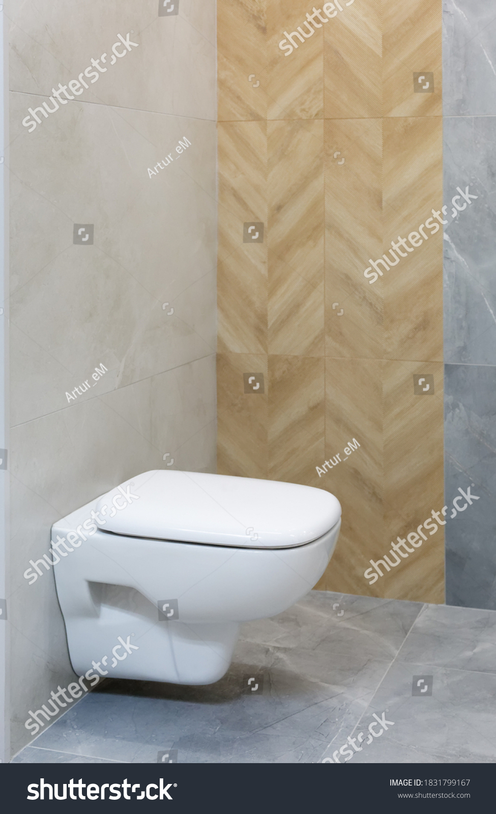 Modern Bathroom Interiom New Toilet Design Stock Photo 1831799167 ...
