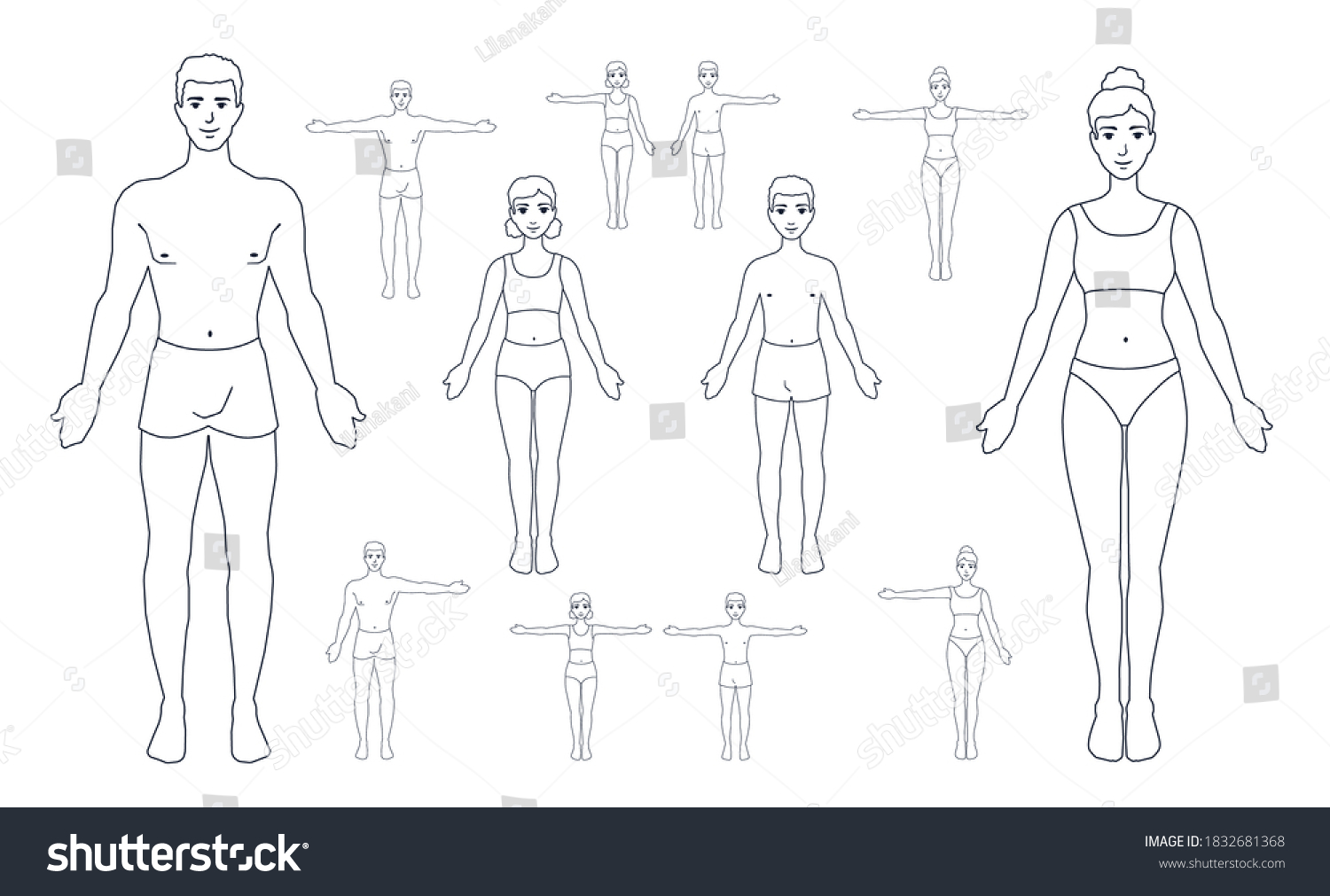 line drawing human body