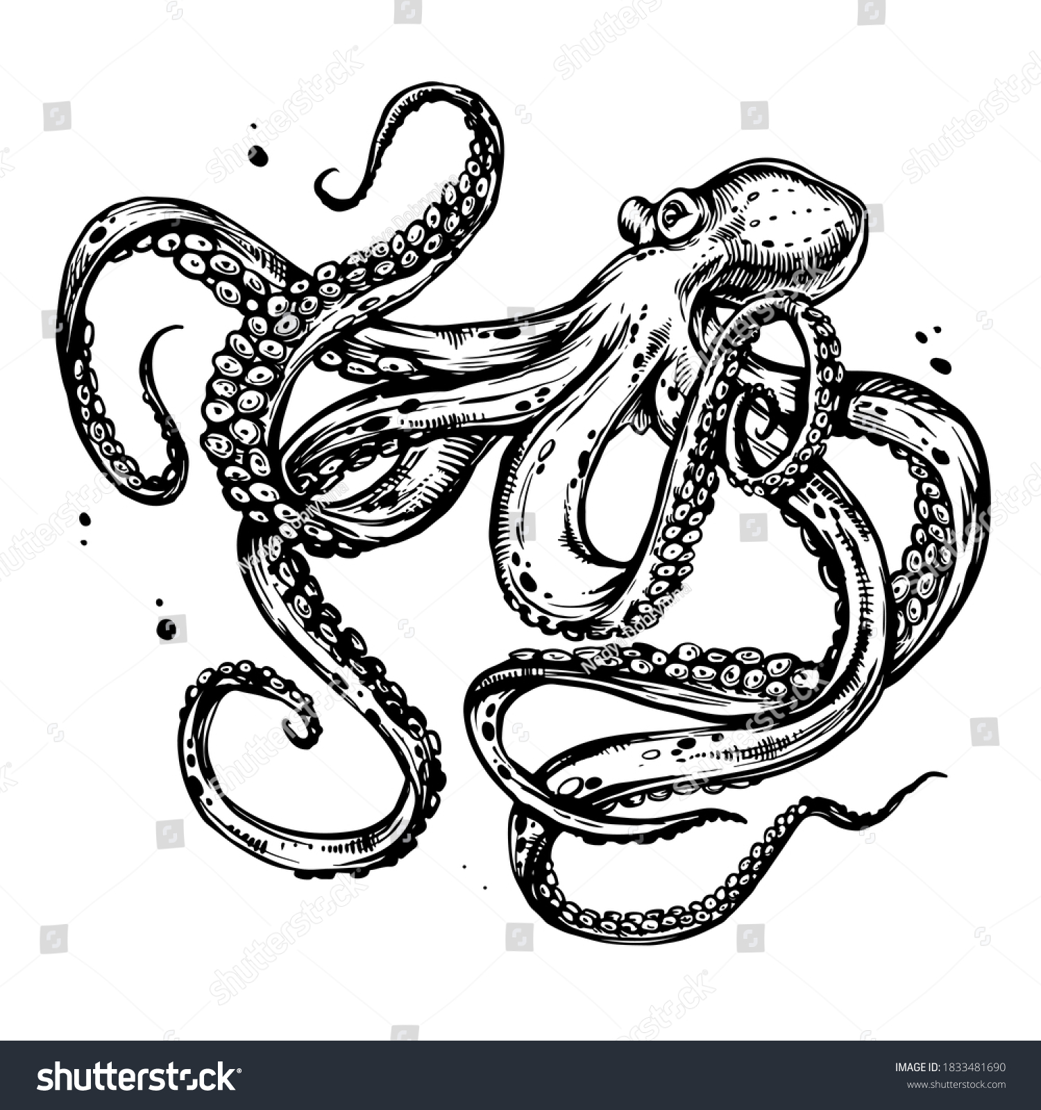 Octopus Tentacles Hand Drawn Ink Doodle Stock Vector (Royalty Free ...