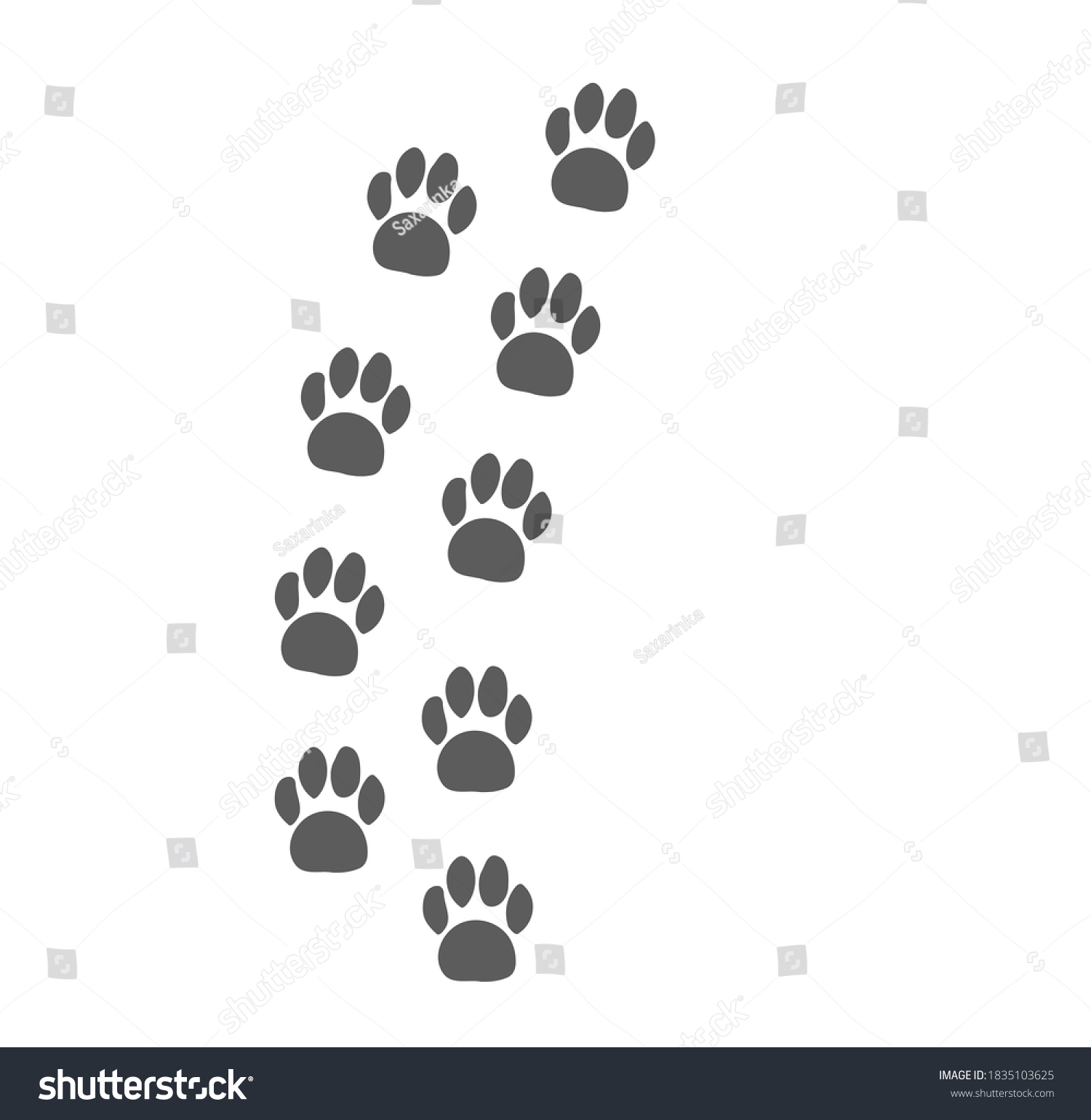 Footprints Steps Animal Footpath Trail Vector Stock Vector (Royalty ...