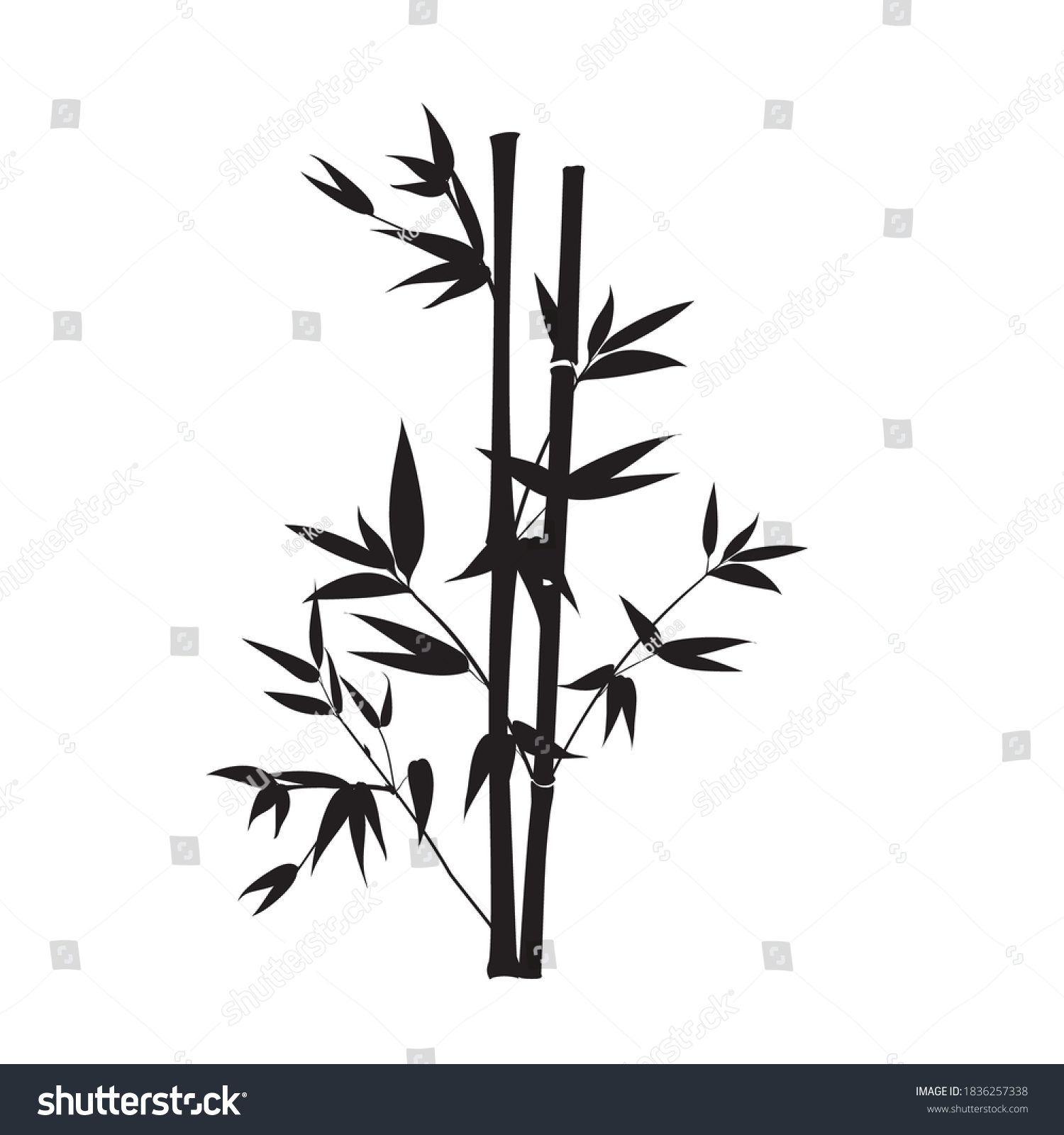 Silhouette Bamboo Leaves On White Background Stock Vector (Royalty Free ...