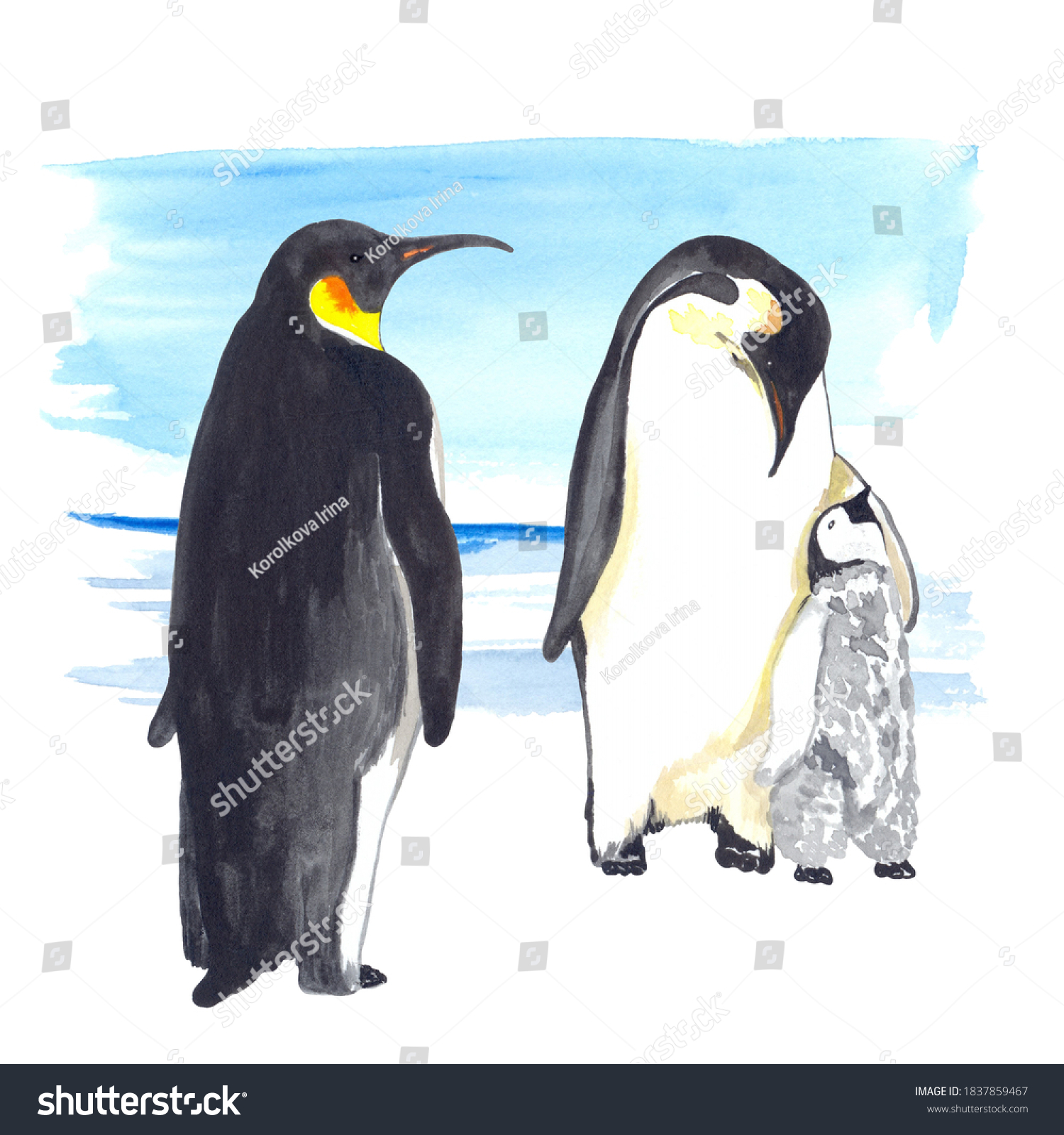 Penguin Family Watercolor Illustration Perfect Printing Stock ...