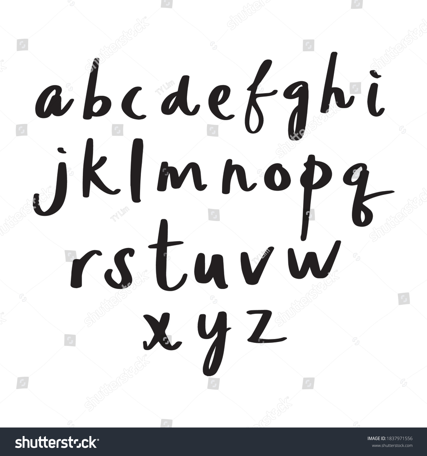 Lowercase Z Alphabet Letter Handwriting Vector Stock Vector (Royalty ...