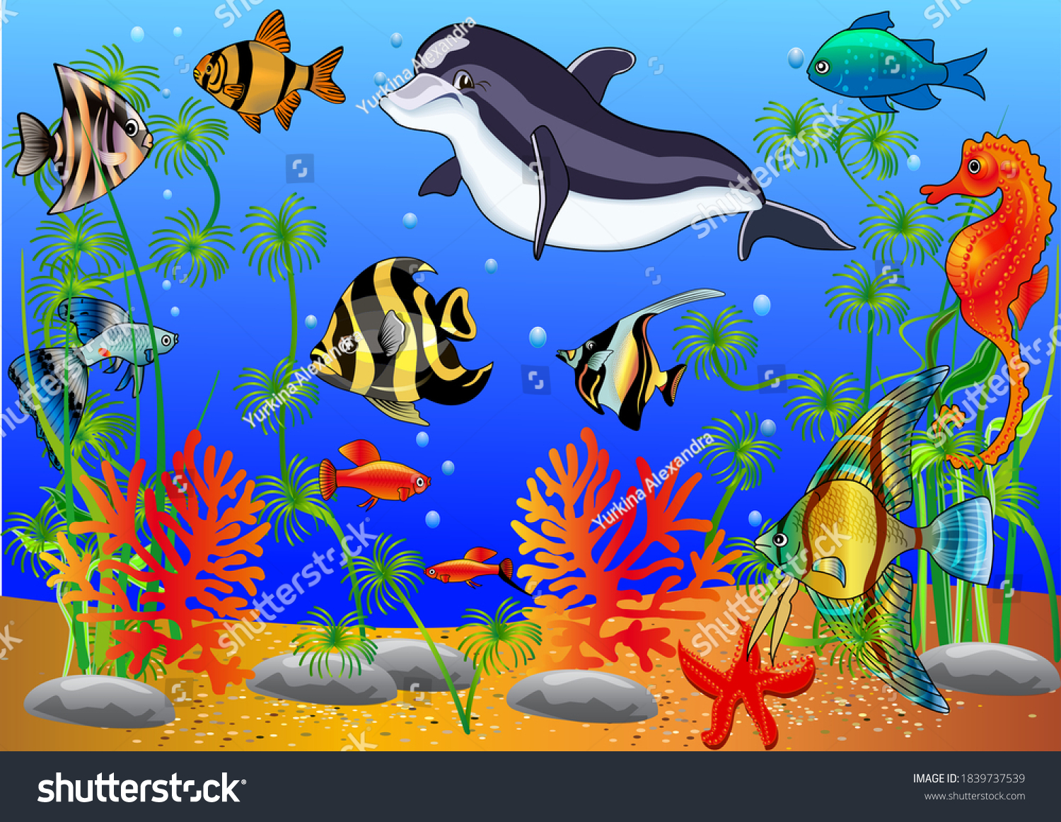 Illustration Dolphin Fish Roughness Sea Stock Vector (Royalty Free ...