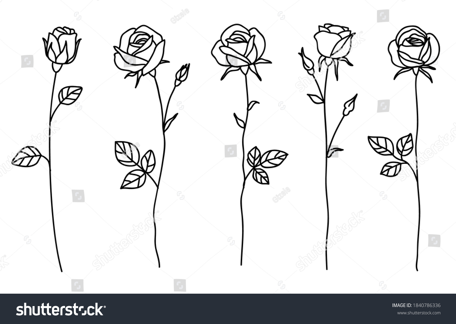 One Line Drawing Garden Rose Leaves Stock Vector (Royalty Free ...