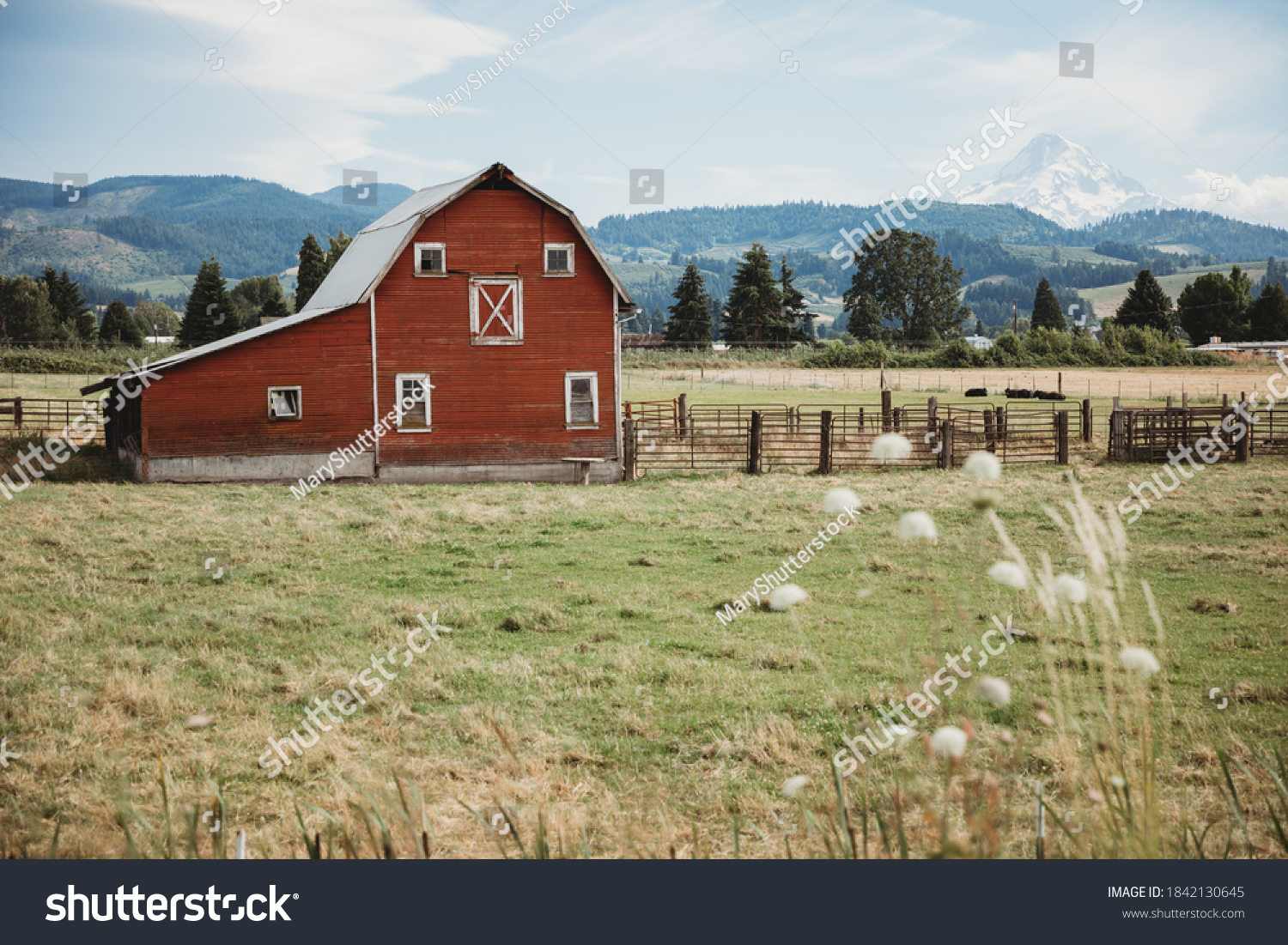 374,311 Vintage Farm Stock Photos, Images & Photography | Shutterstock