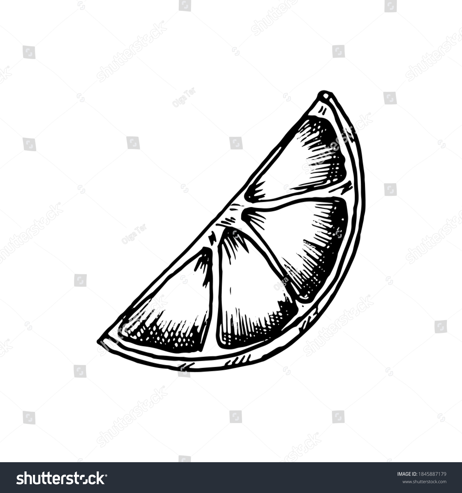 463 Lime Wedge Drawing Images, Stock Photos & Vectors | Shutterstock