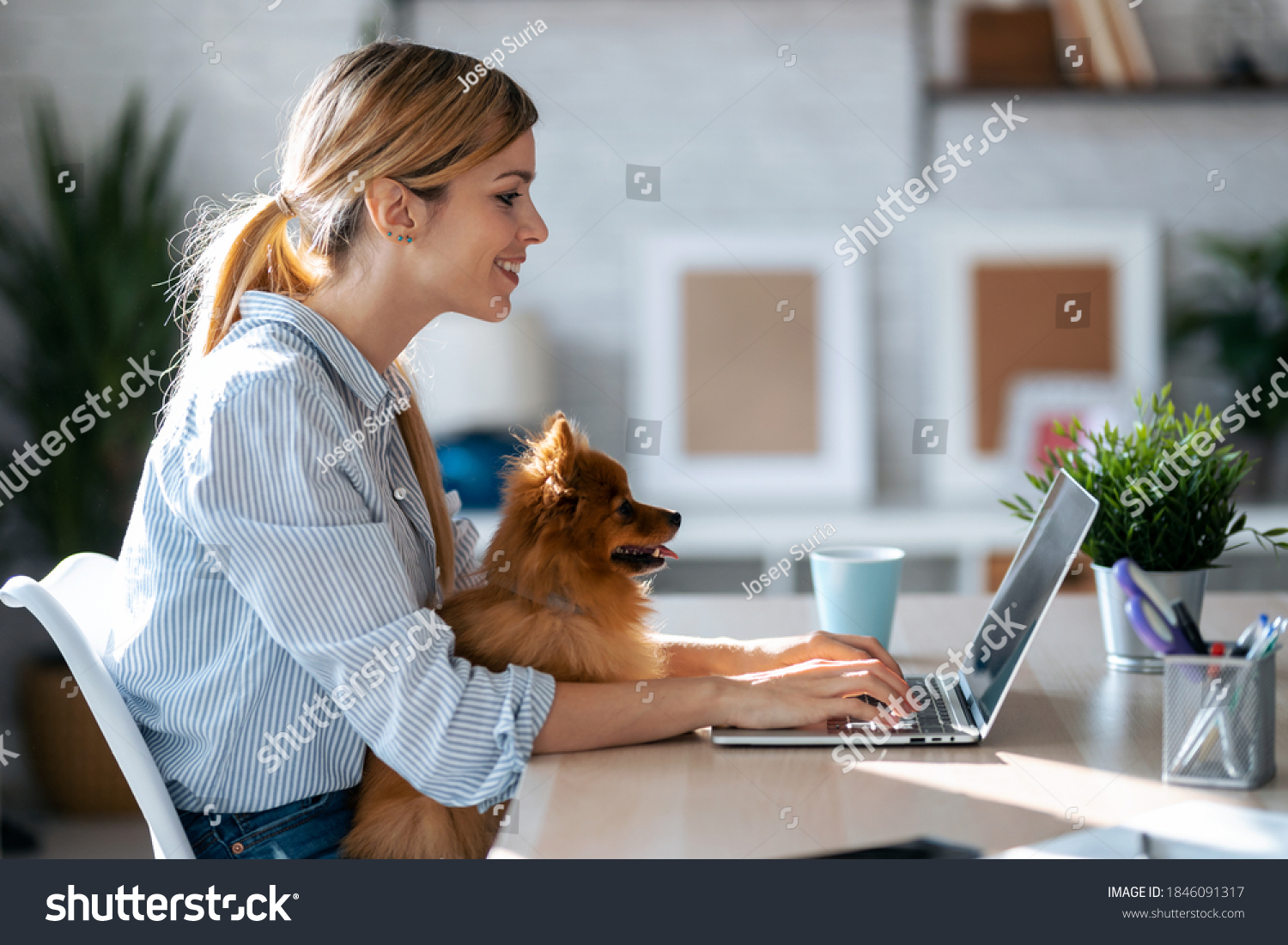 19,512 Little Animals Working Images, Stock Photos & Vectors | Shutterstock