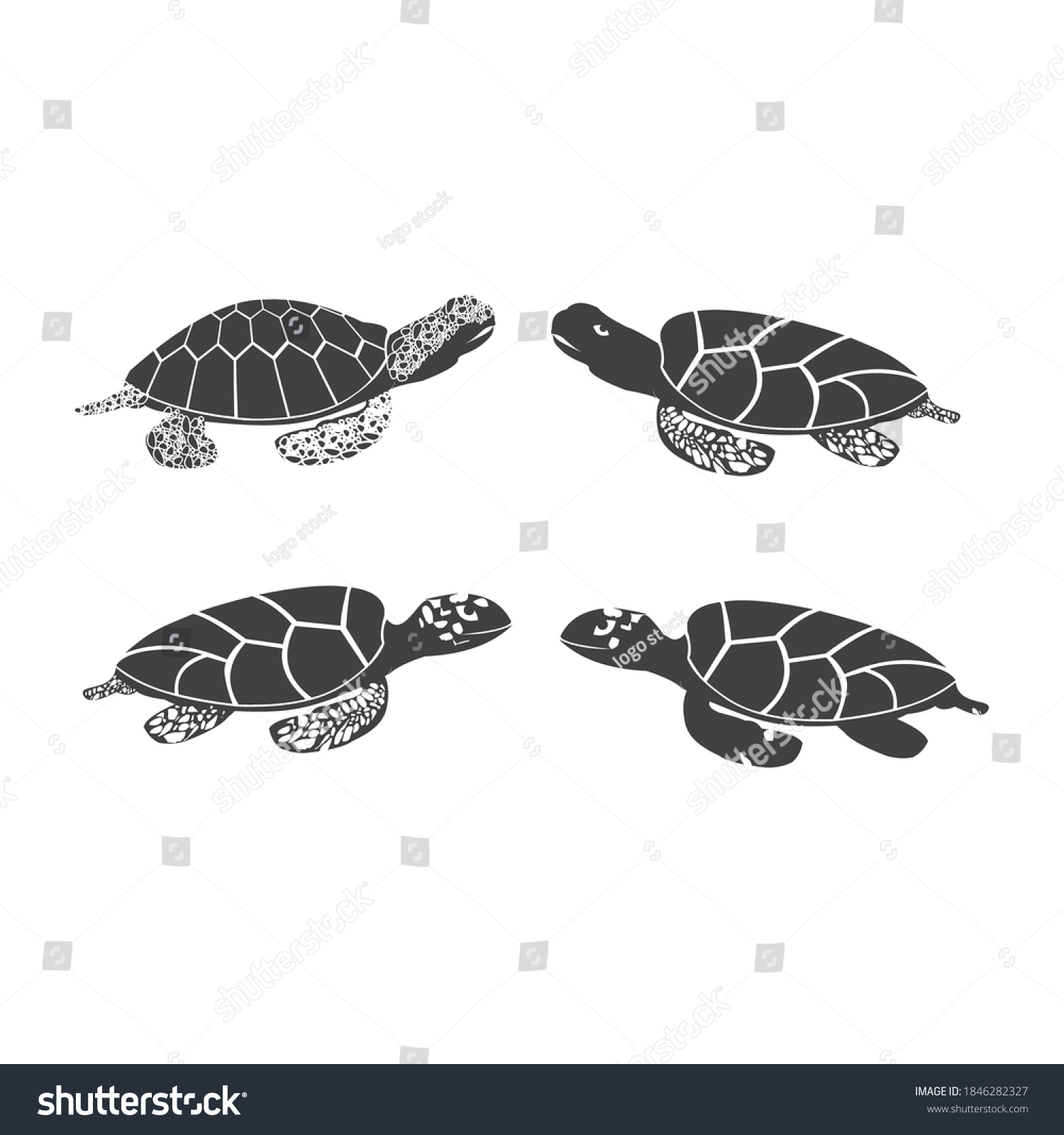 Turtle Scaly Hawksbill Vector Design Logo Stock Vector (Royalty Free ...