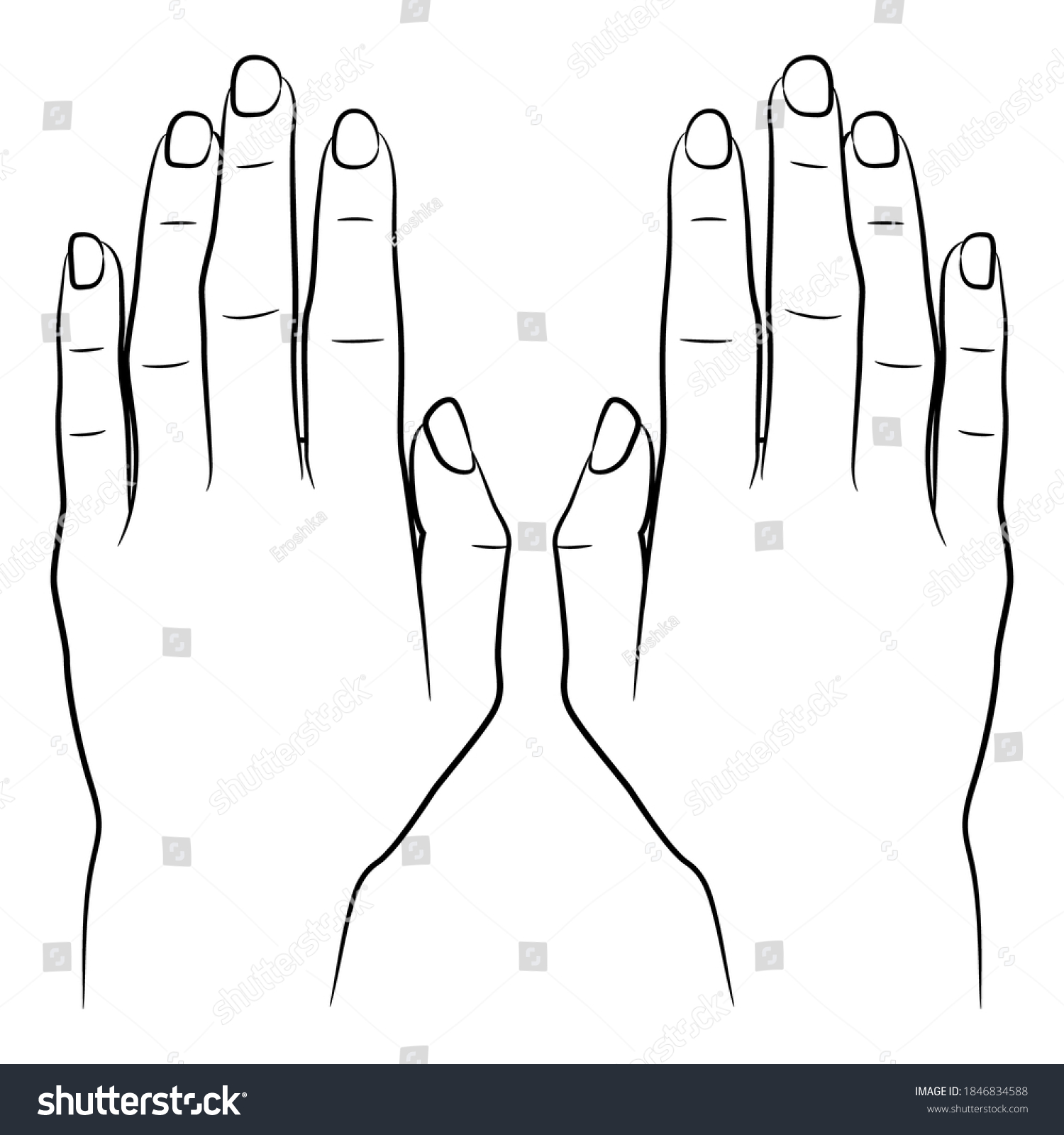 Two Human Female Hands Top View Stock Vector (Royalty Free) 1846834588 ...