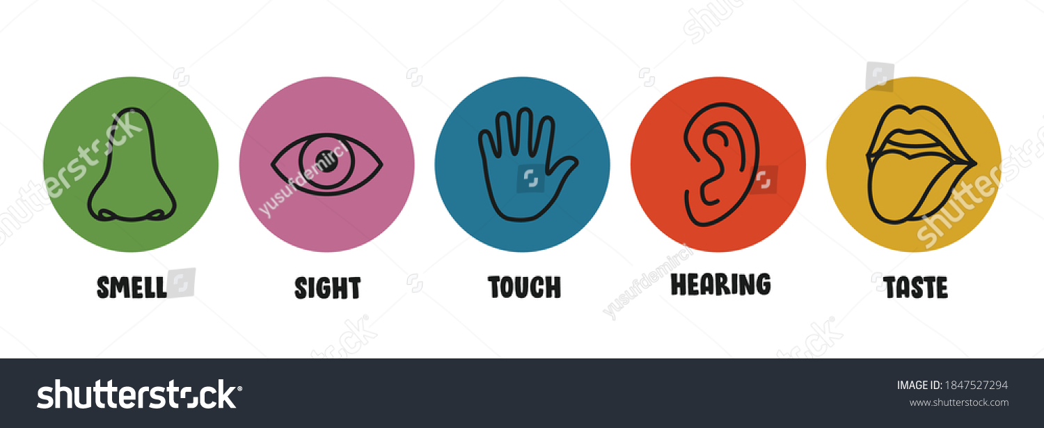 Five Senses Concept Human Organs Stock Vector (royalty Free) 1847527294 